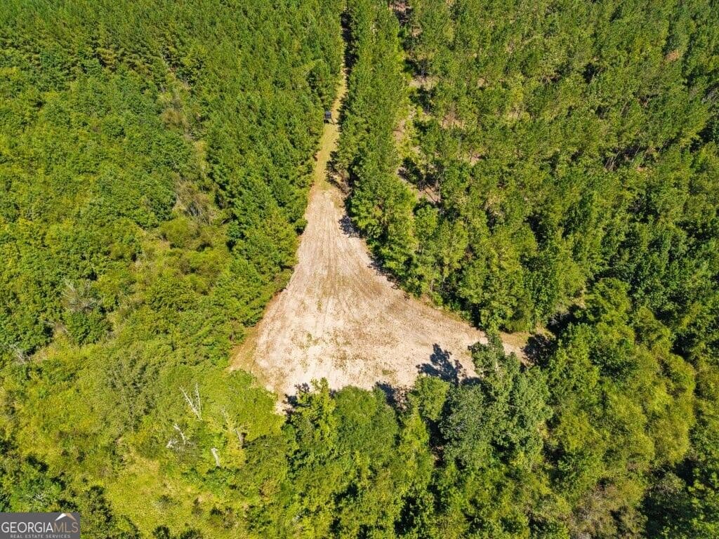 unimproved land for sale at 2 W State Route 90 Road CEDAR CREEK FARM, Ideal, GA 31041 — photo 8