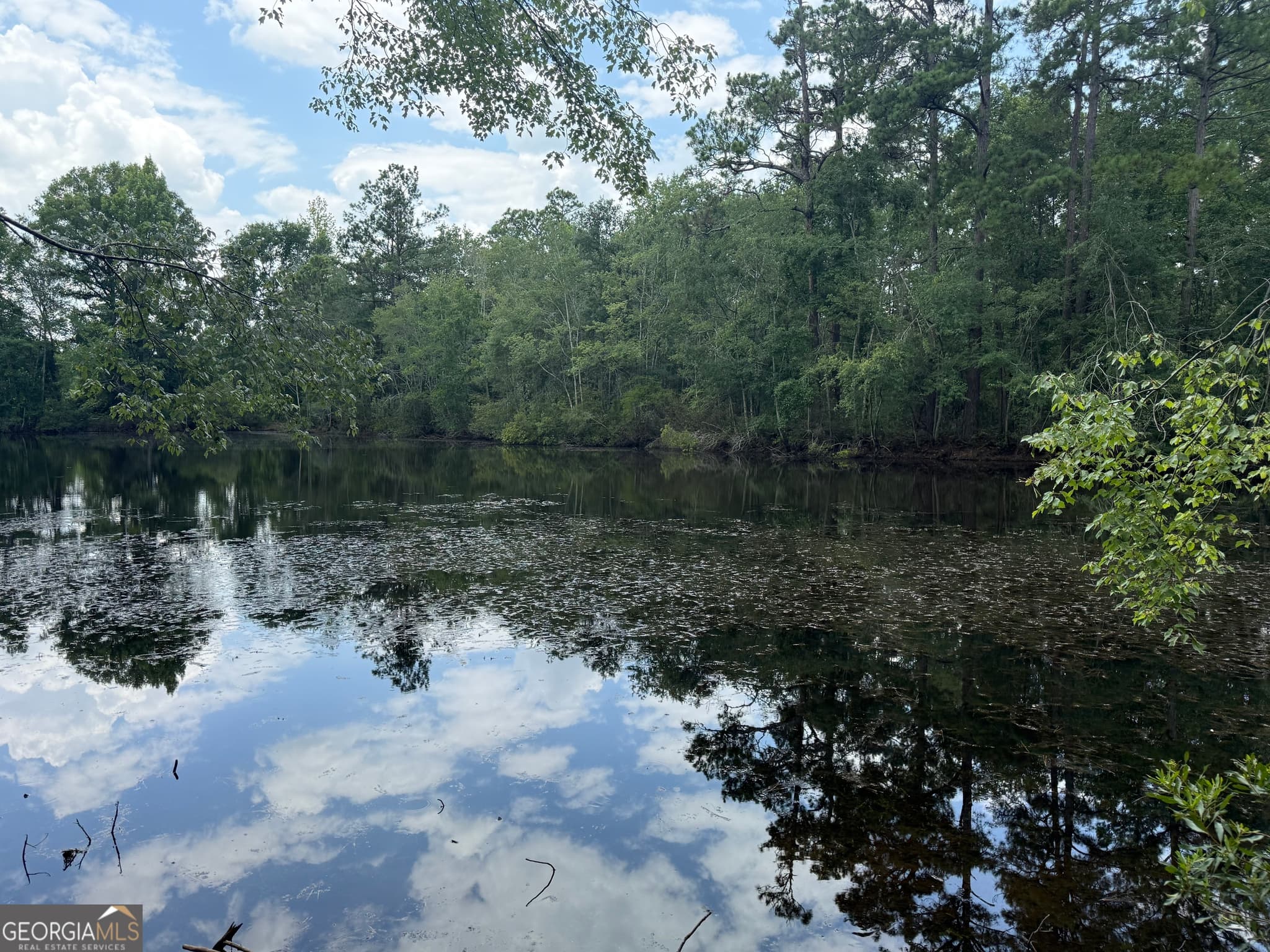 residential lot for sale at 1144 Highway 80, Swainsboro, GA 30401 — photo 2