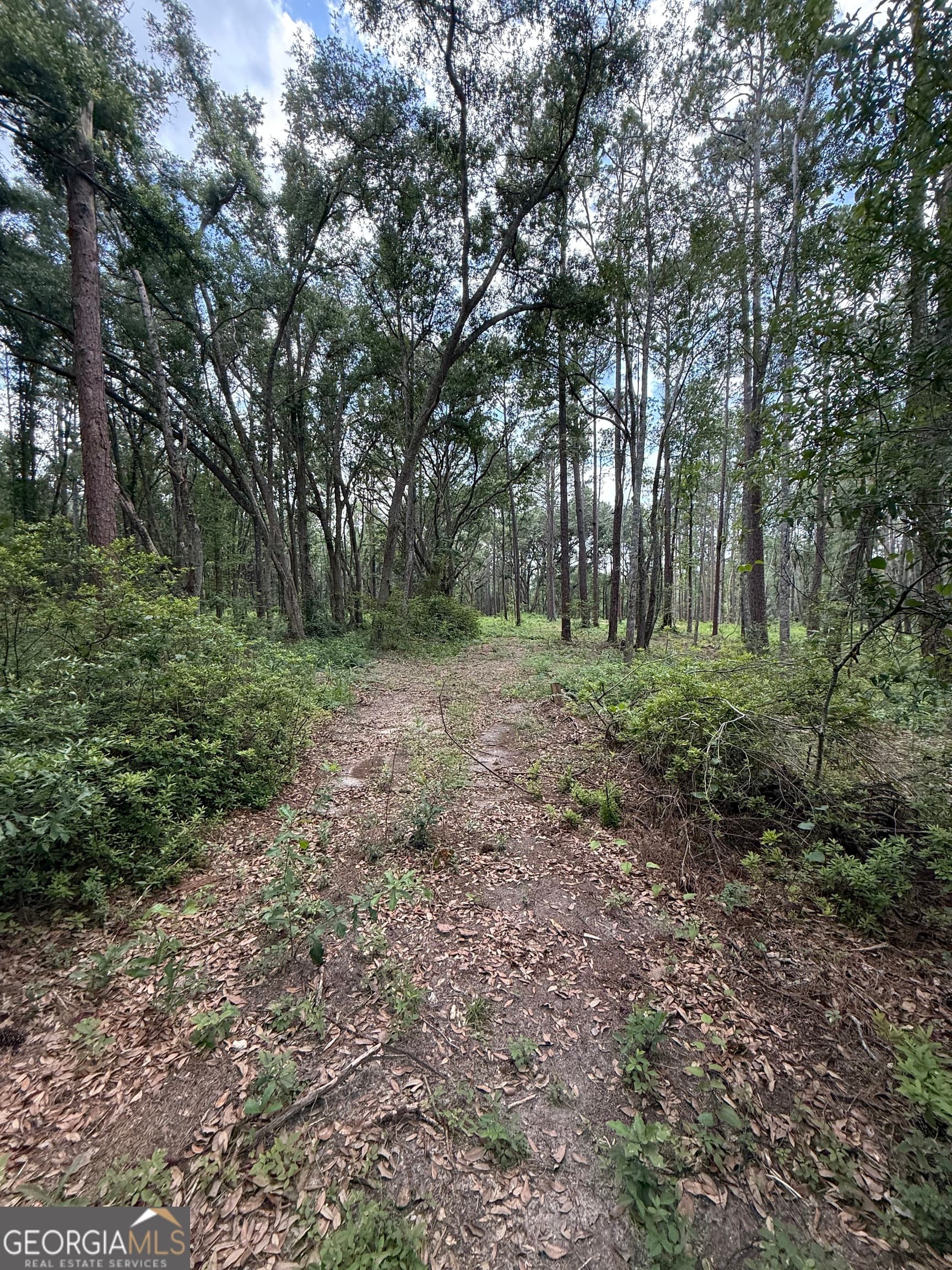 residential lot for sale at 1144 Highway 80, Swainsboro, GA 30401 — photo 6