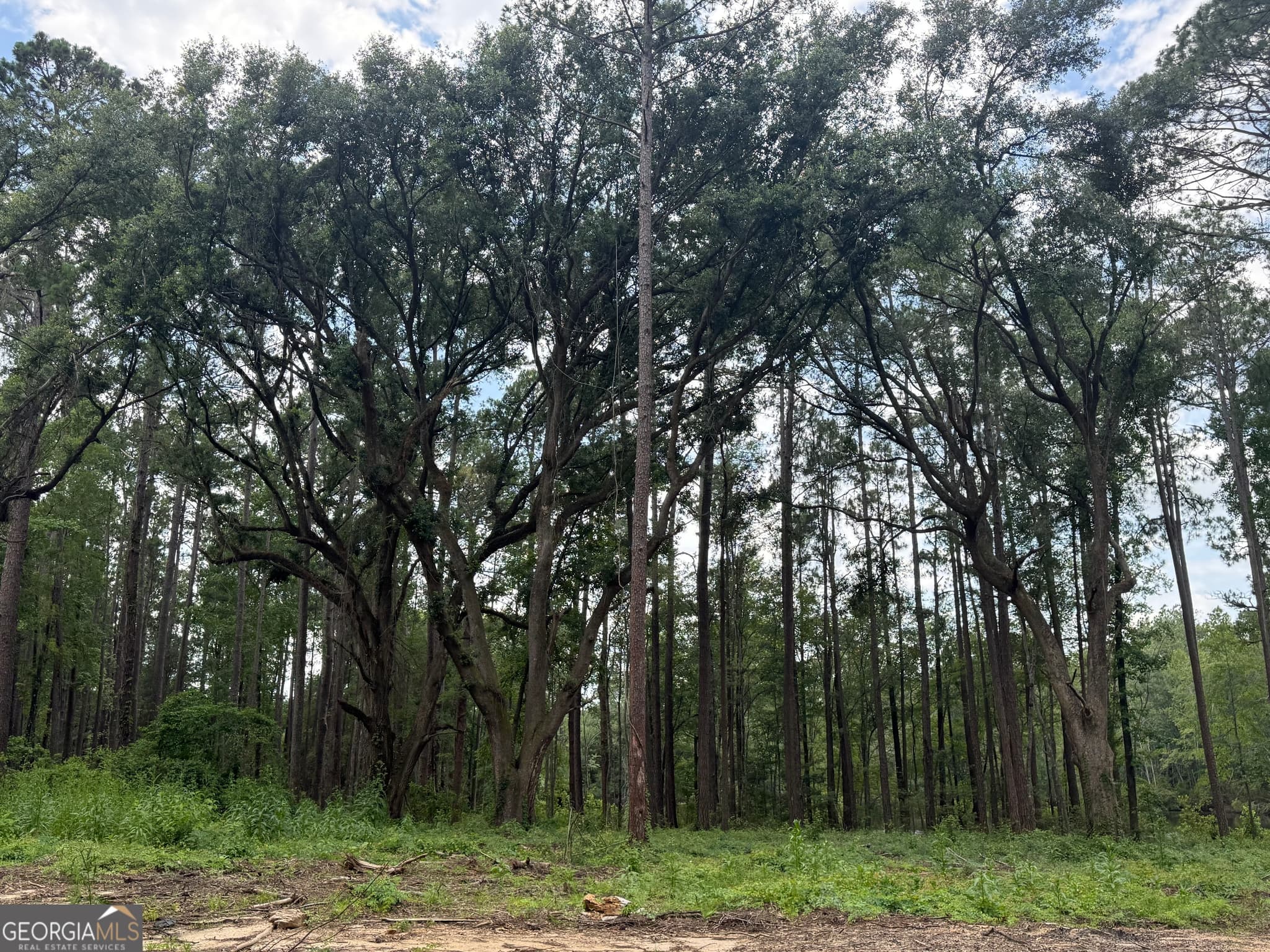 residential lot for sale at 1144 Highway 80, Swainsboro, GA 30401 — photo 9