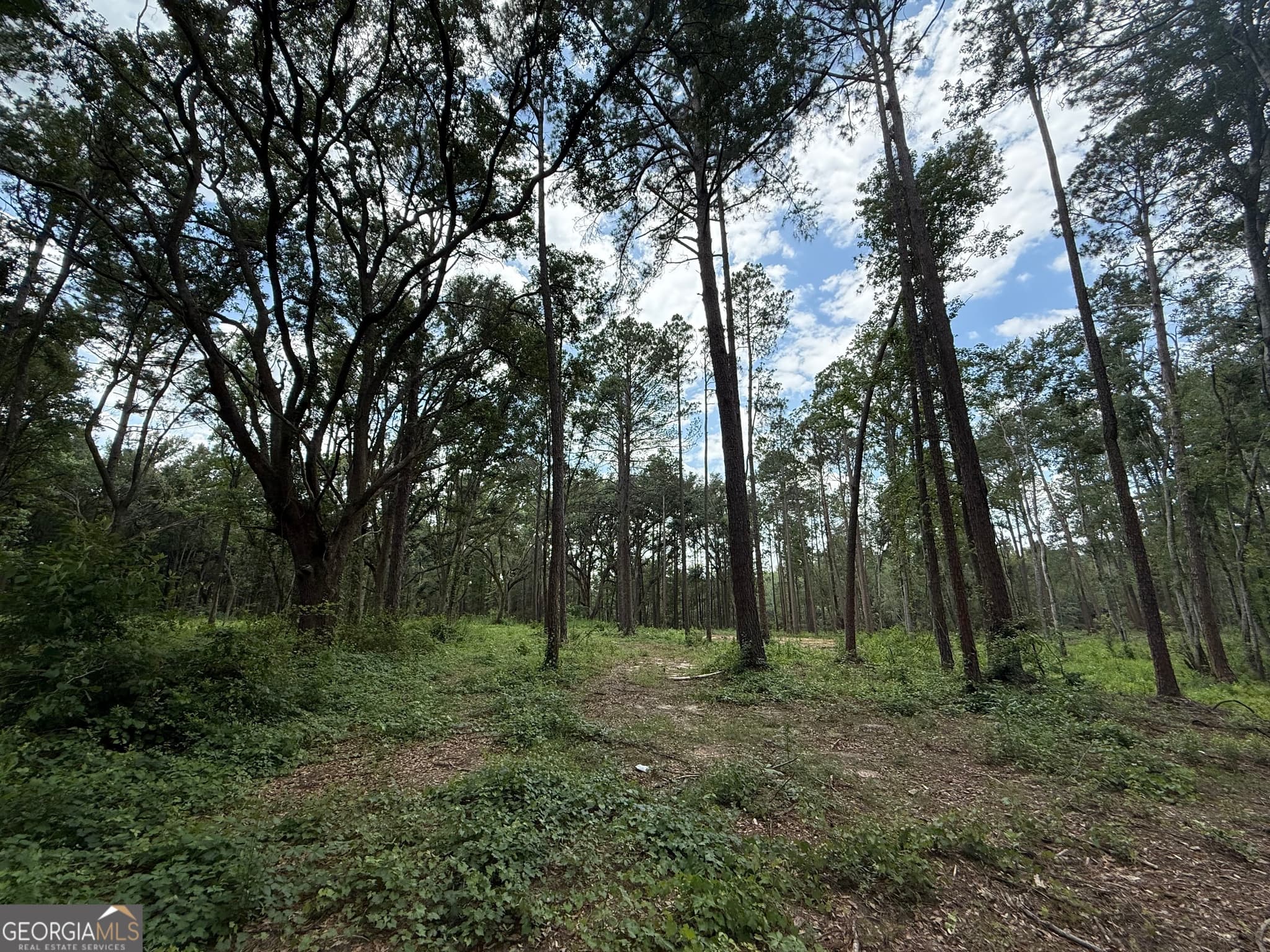 residential lot for sale at 1144 Highway 80, Swainsboro, GA 30401 — photo 10