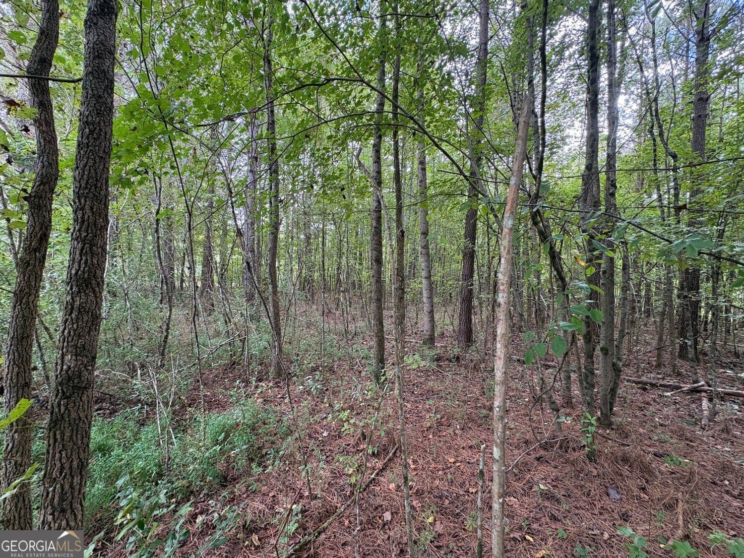 unimproved land for sale at 001 Bullock Farm Road, Dallas, GA 30157 — photo 6