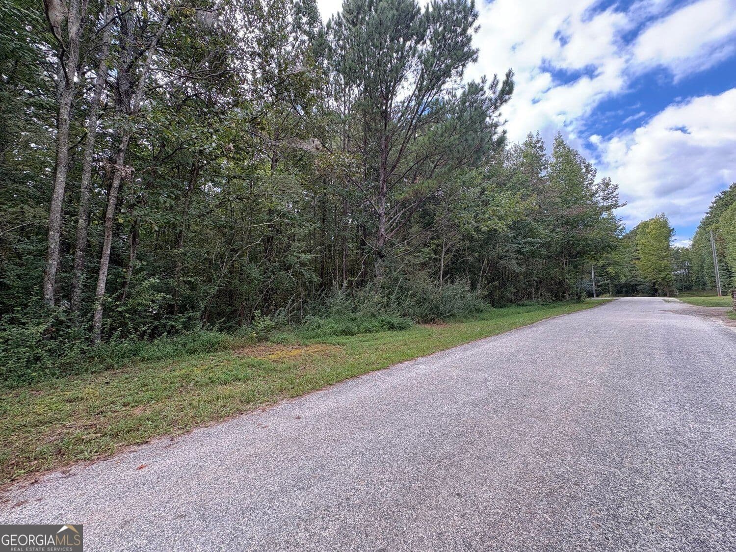 unimproved land for sale at 001 Bullock Farm Road, Dallas, GA 30157 — photo 5