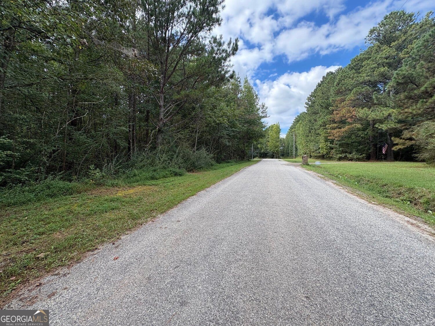 unimproved land for sale at 001 Bullock Farm Road, Dallas, GA 30157 — photo 4
