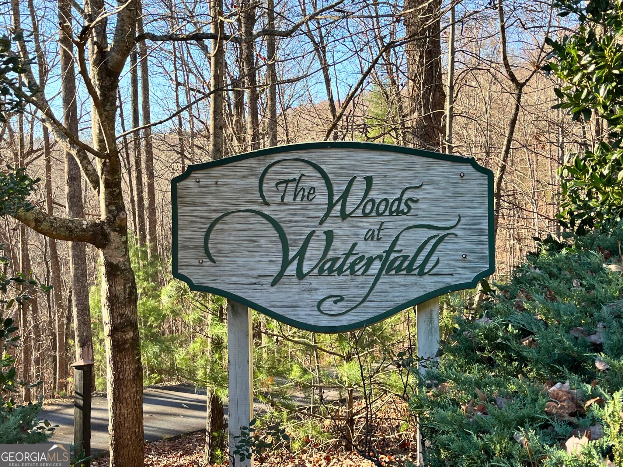 unimproved land for sale at LOT #2 Forest Canopy Way, Clayton, GA 30525 — photo 2