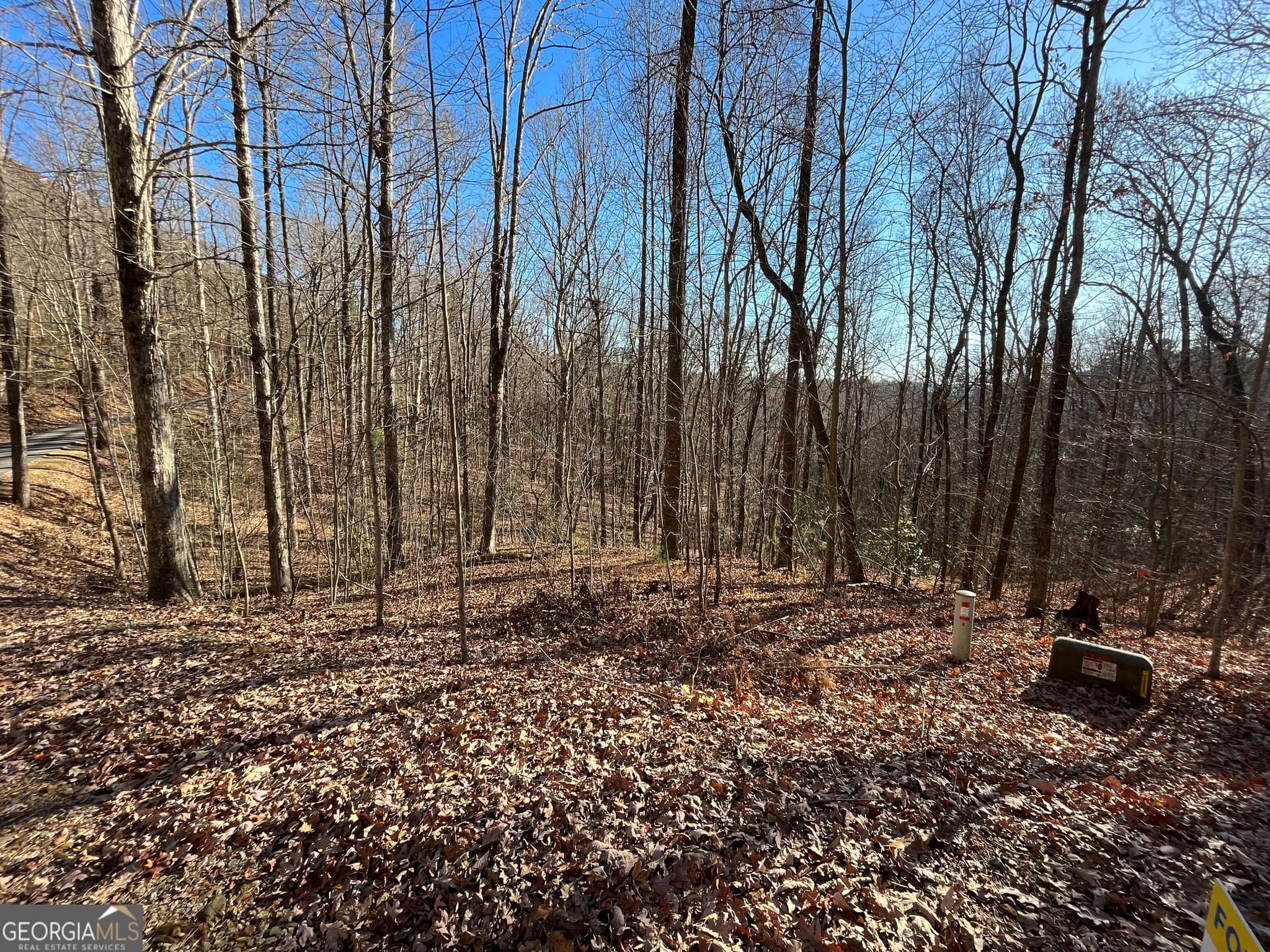 unimproved land for sale at LOT #2 Forest Canopy Way, Clayton, GA 30525 — photo 6