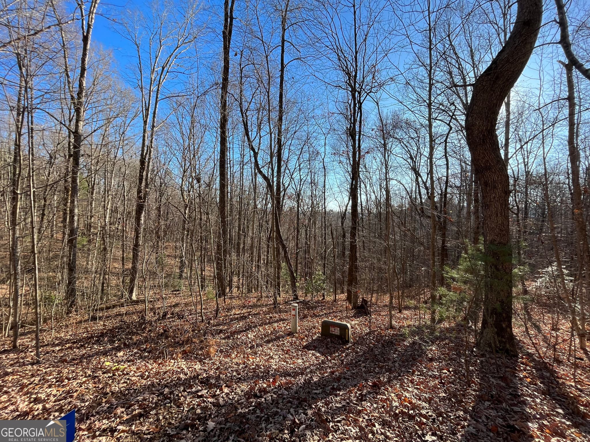 unimproved land for sale at LOT #2 Forest Canopy Way, Clayton, GA 30525 — photo 7