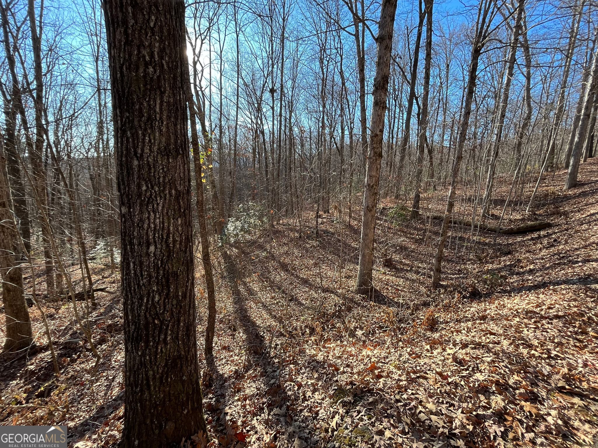 unimproved land for sale at LOT #2 Forest Canopy Way, Clayton, GA 30525 — photo 1 of 9