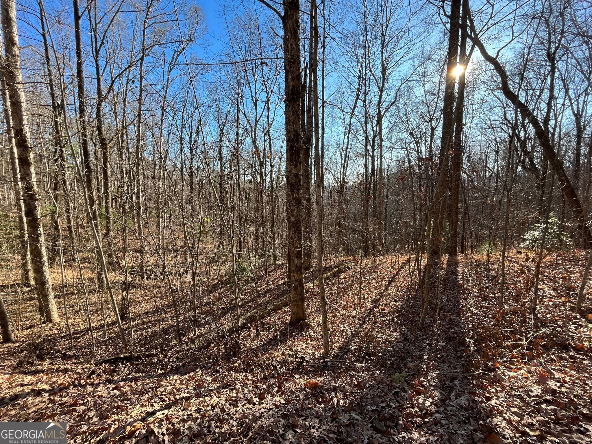 unimproved land for sale at LOT #2 Forest Canopy Way, Clayton, GA 30525 — photo 5