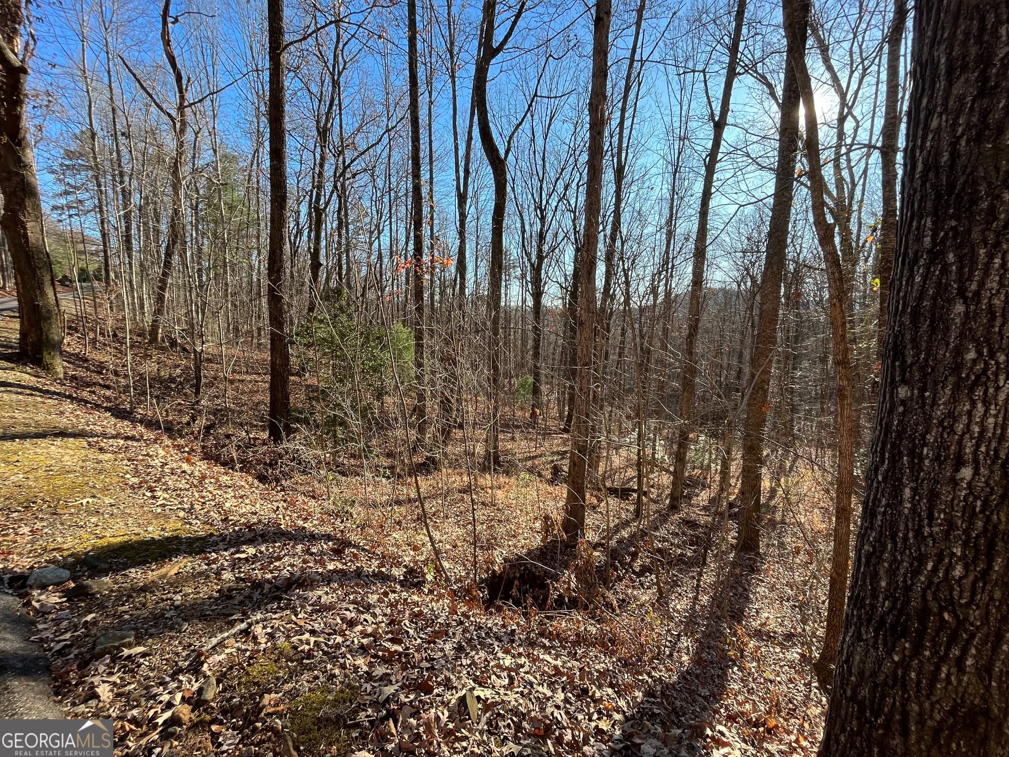 unimproved land for sale at LOT #2 Forest Canopy Way, Clayton, GA 30525 — photo 9