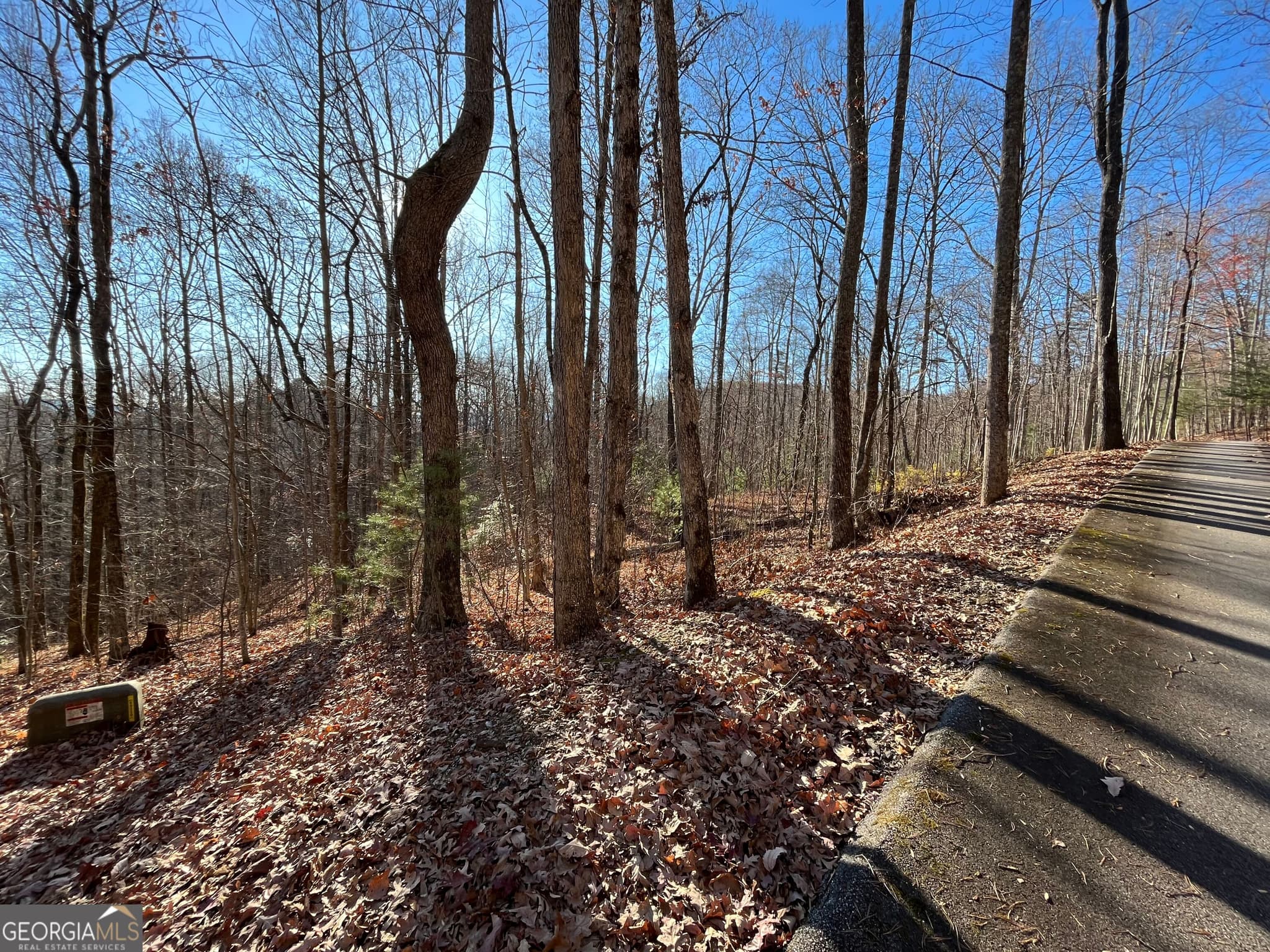 unimproved land for sale at LOT #2 Forest Canopy Way, Clayton, GA 30525 — photo 4