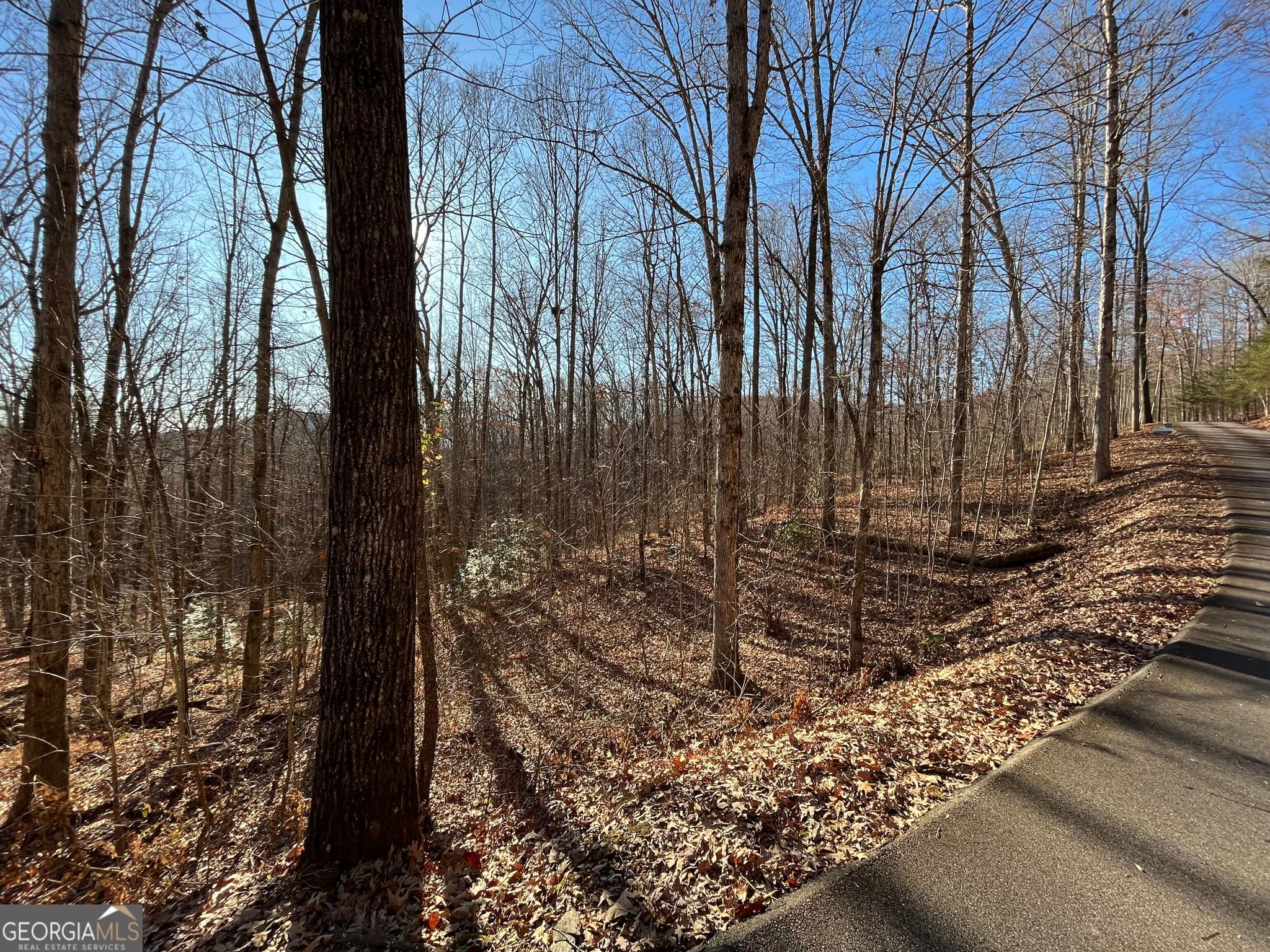 unimproved land for sale at LOT #2 Forest Canopy Way, Clayton, GA 30525 — photo 8