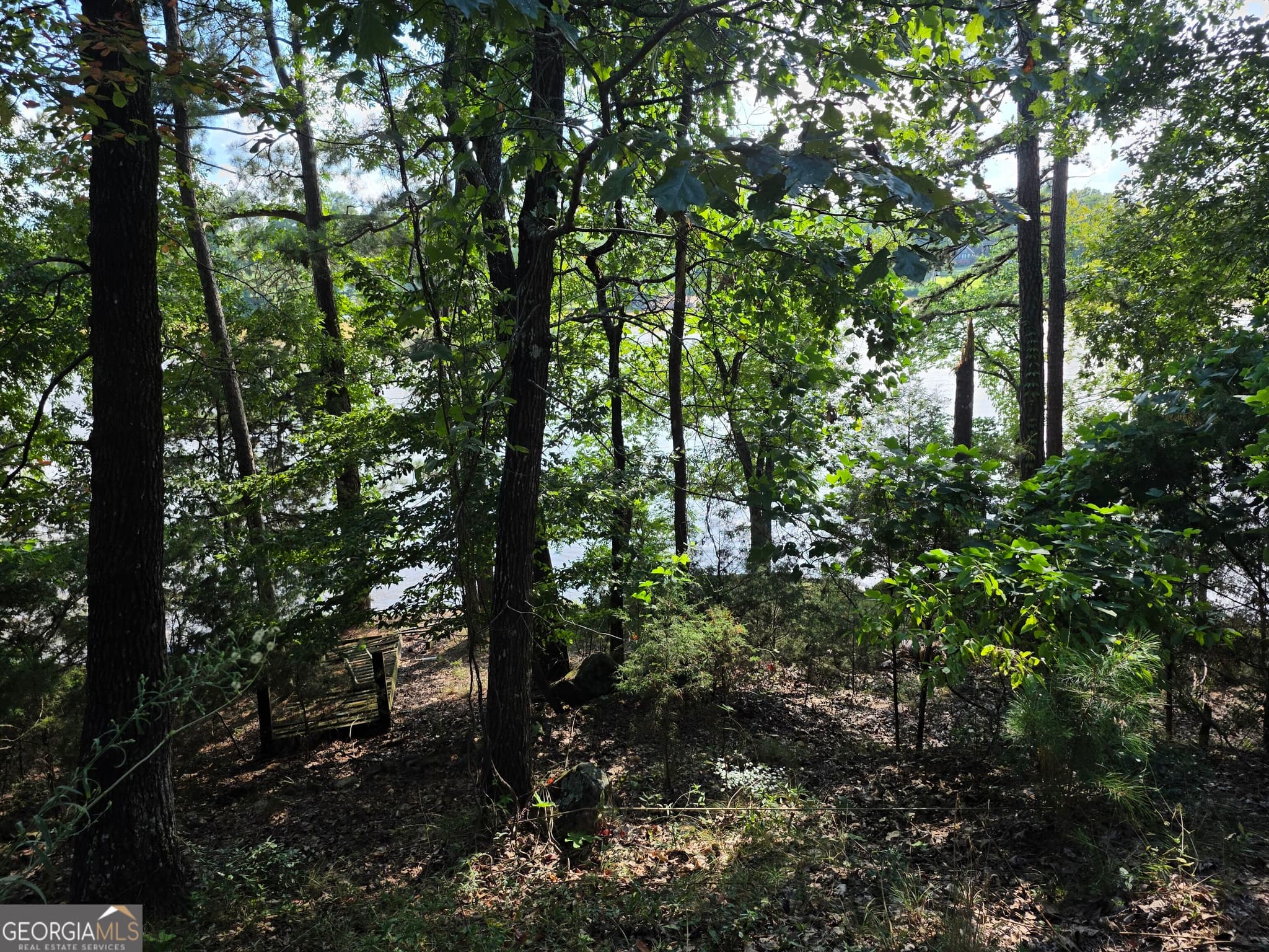 residential lot for sale at 95 Lang Circle, Covington, GA 30014 — photo 9