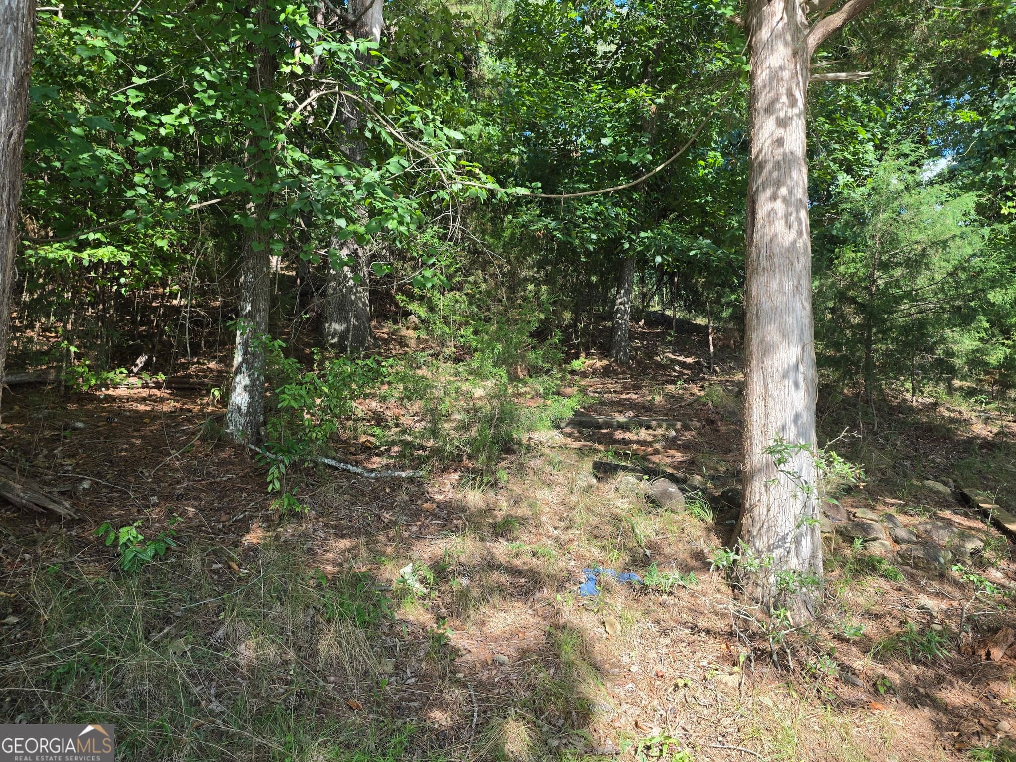 residential lot for sale at 95 Lang Circle, Covington, GA 30014 — photo 8