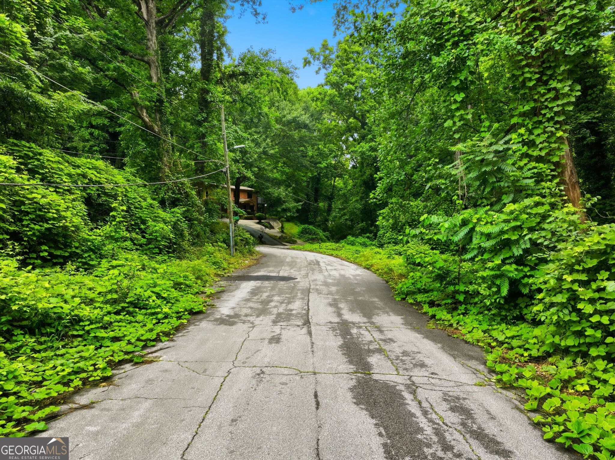 unimproved land for sale at 0 Spring Lane, Atlanta, GA 30314 — photo 6
