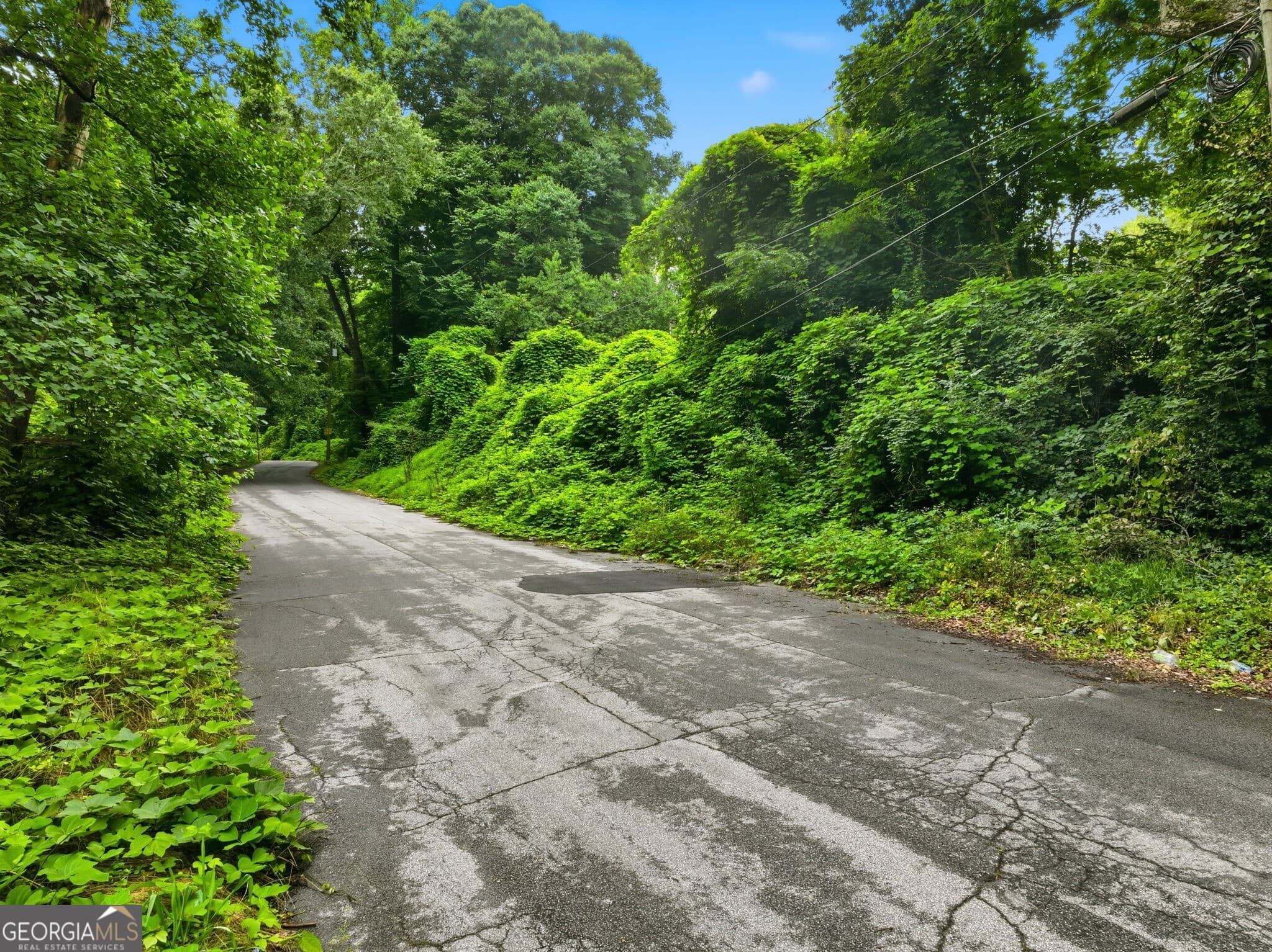 unimproved land for sale at 0 Spring Lane, Atlanta, GA 30314 — photo 7