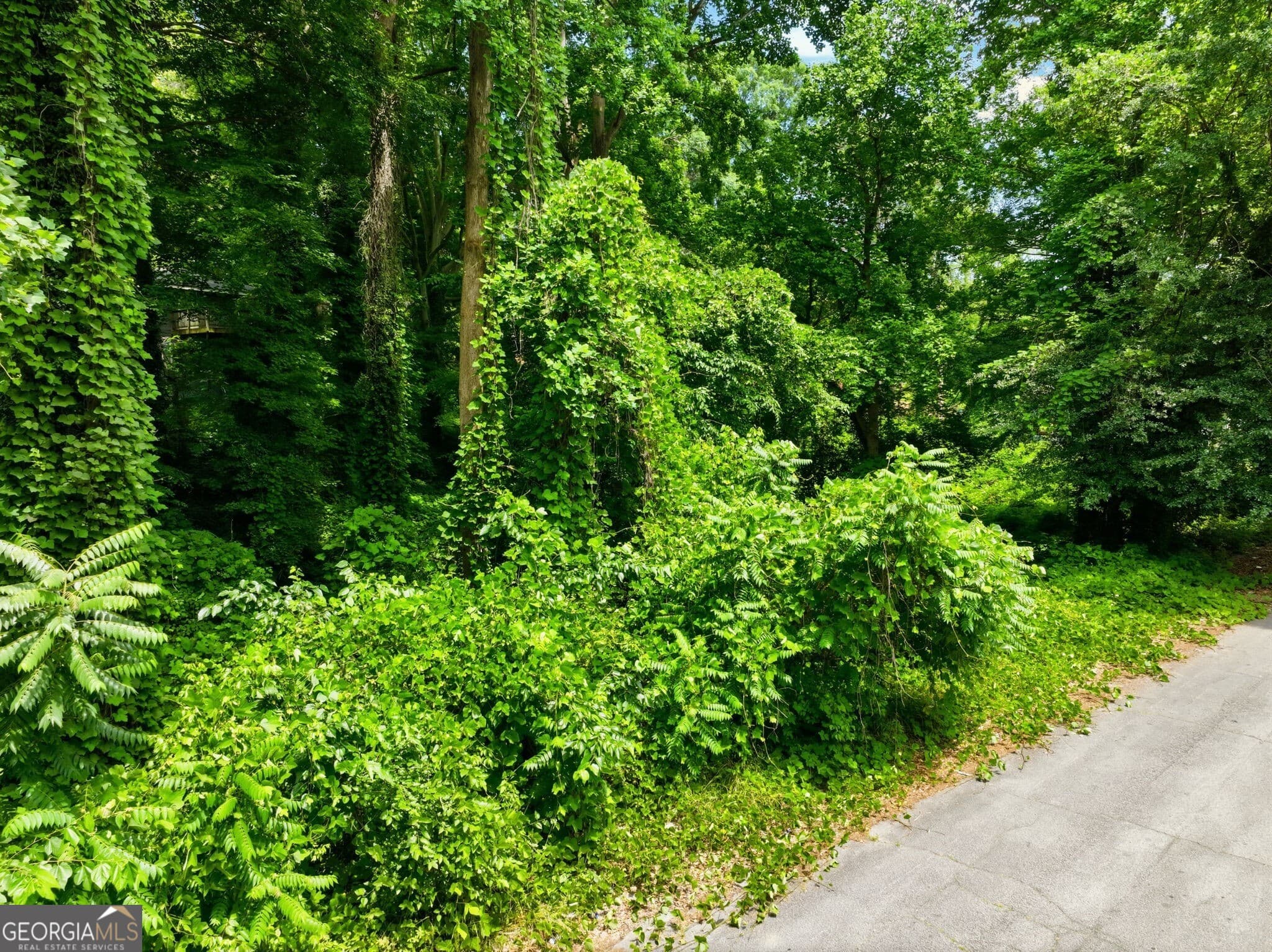 unimproved land for sale at 0 Spring Lane, Atlanta, GA 30314 — photo 5