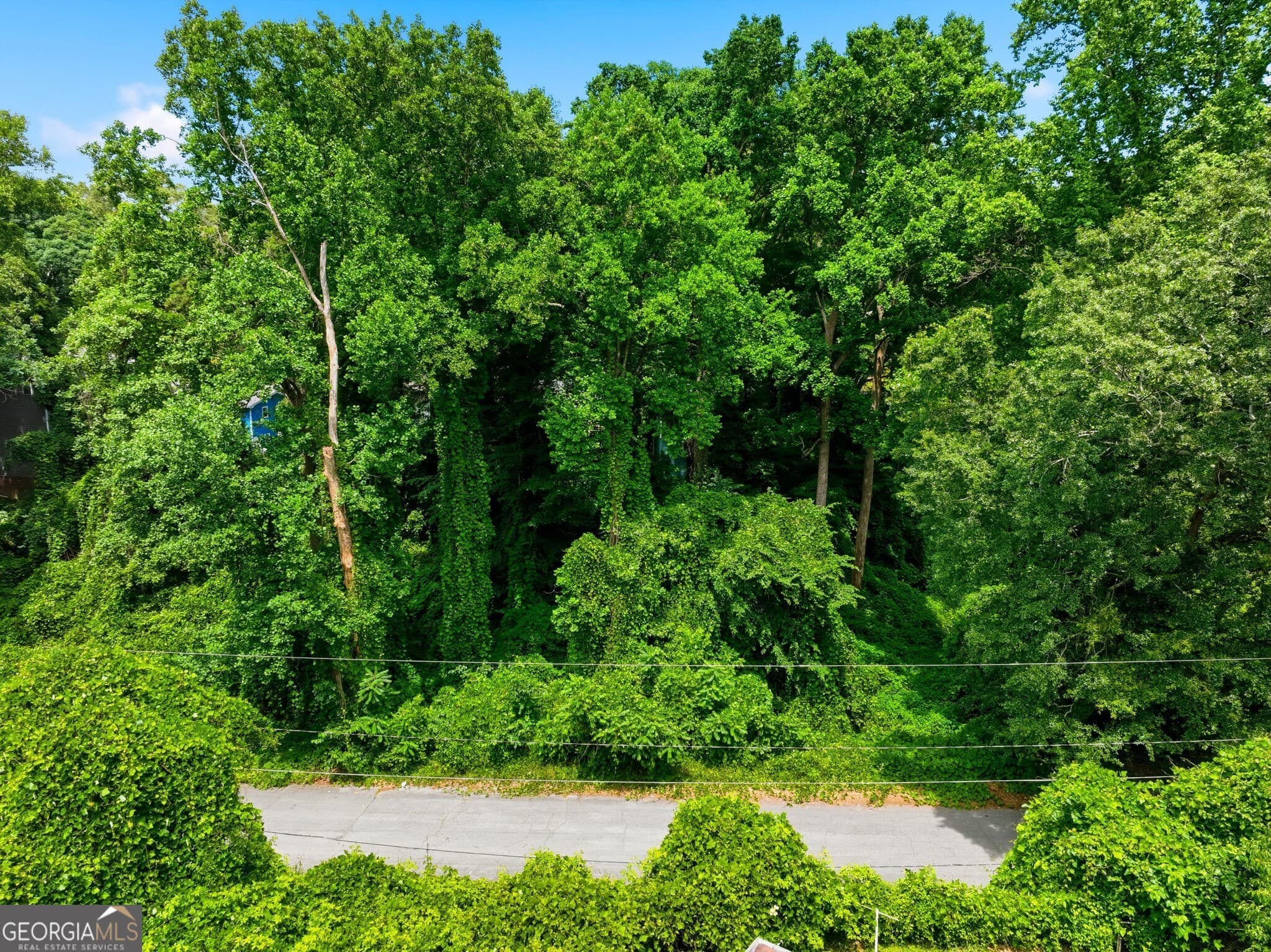 unimproved land for sale at 0 Spring Lane, Atlanta, GA 30314 — photo 4