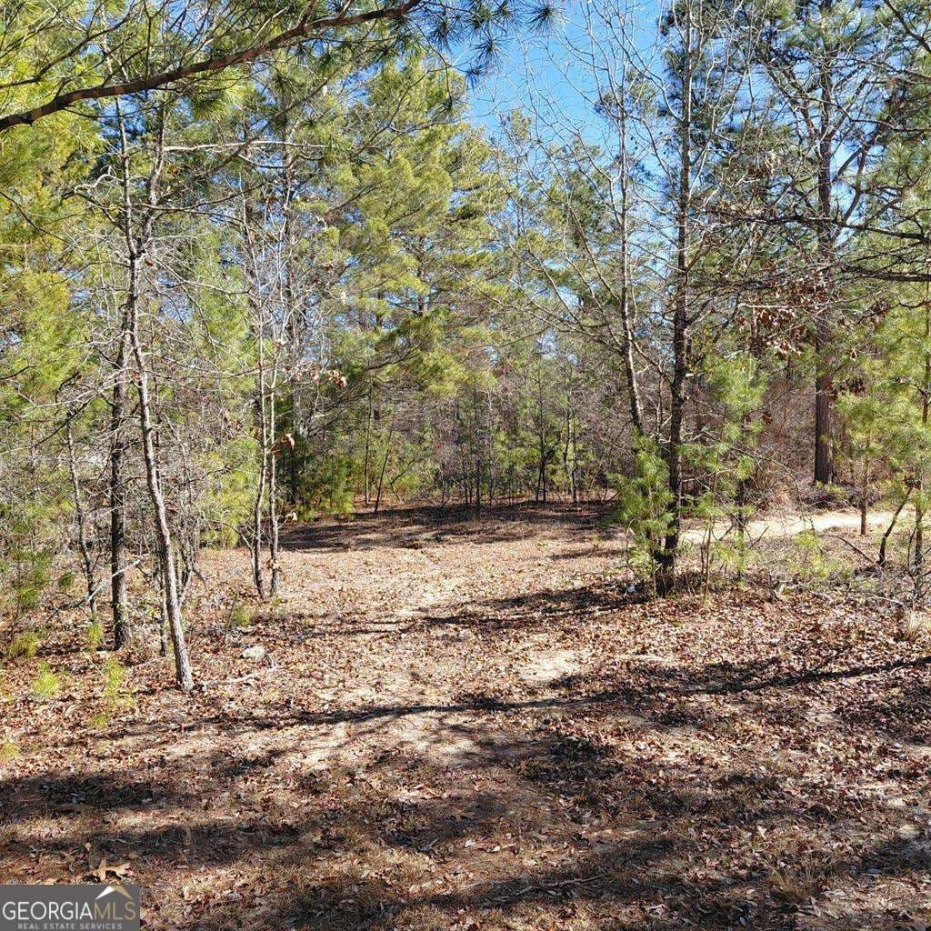 residential lot for sale at 100 Sparrow Drive, Box Springs, GA 31801