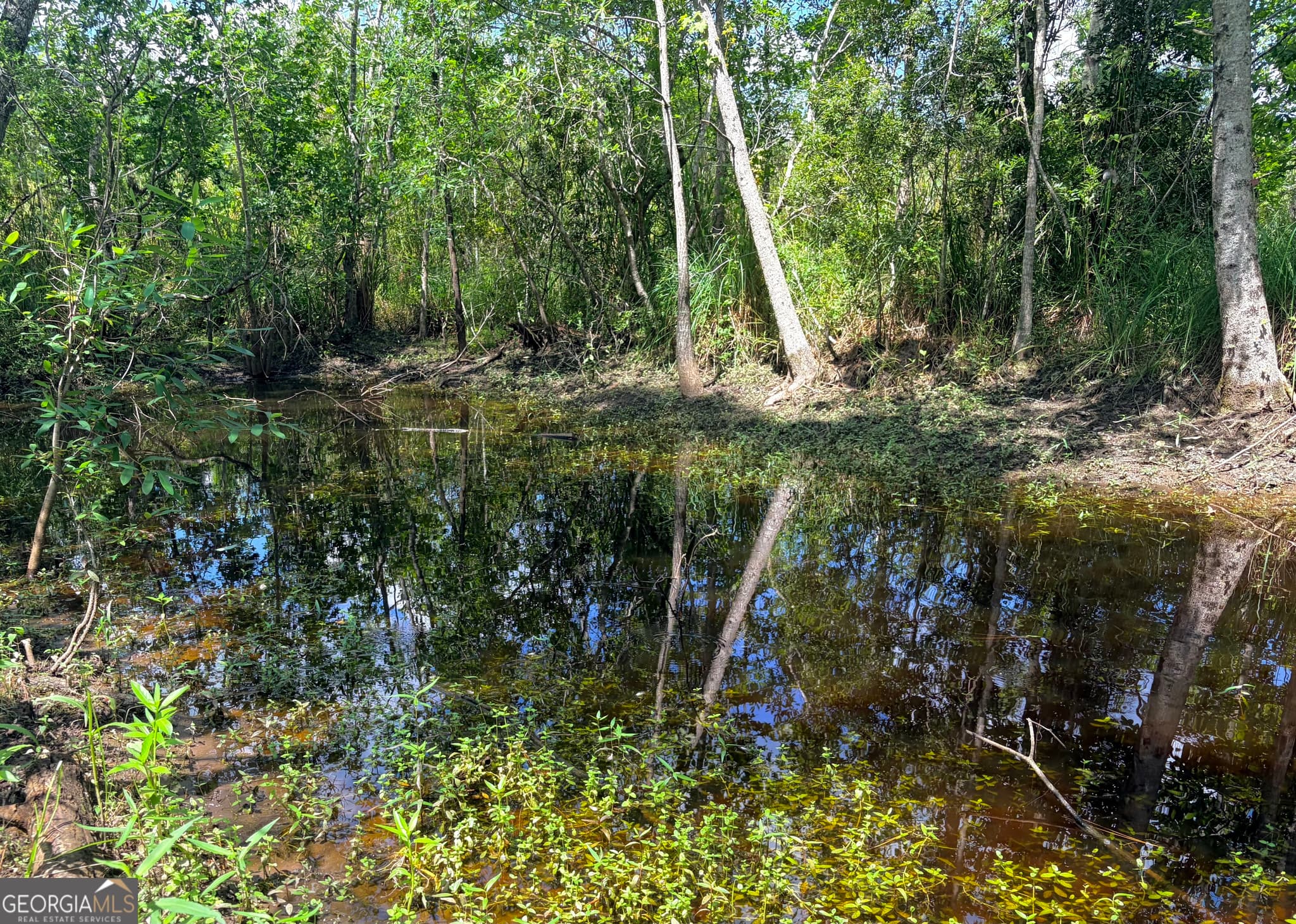 agriculture for sale at 0 Ernest Carter Road, Hazlehurst, GA 31539 — photo 6