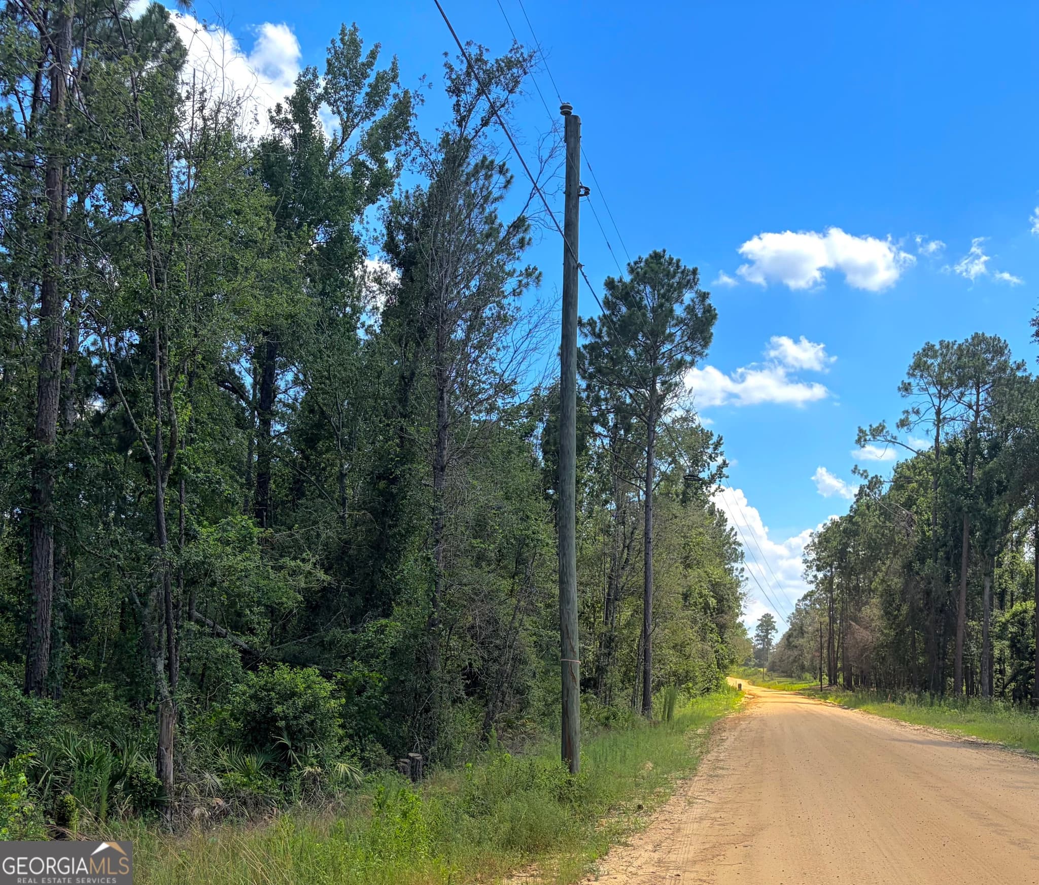 agriculture for sale at 0 Ernest Carter Road, Hazlehurst, GA 31539 — photo 3
