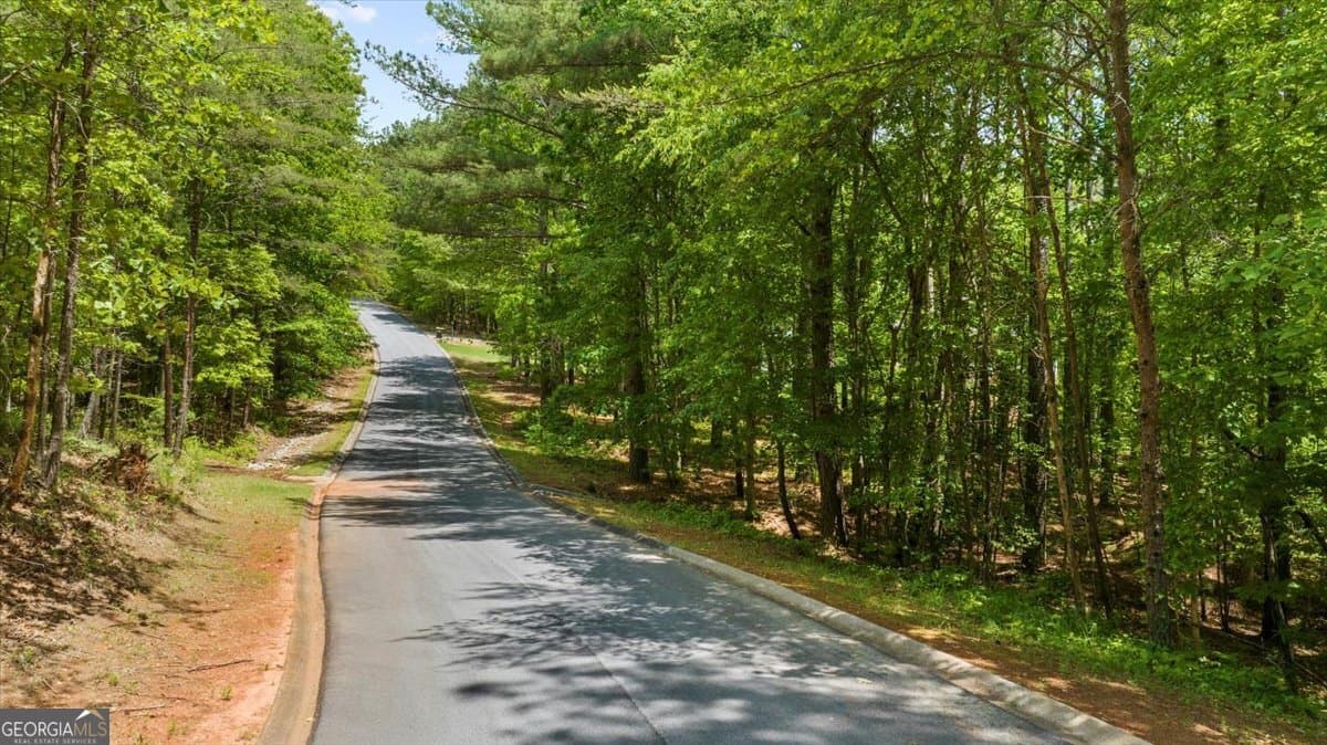 residential lot for sale at 0 Golden Delicious Road, Clarkesville, GA 30523 — photo 2