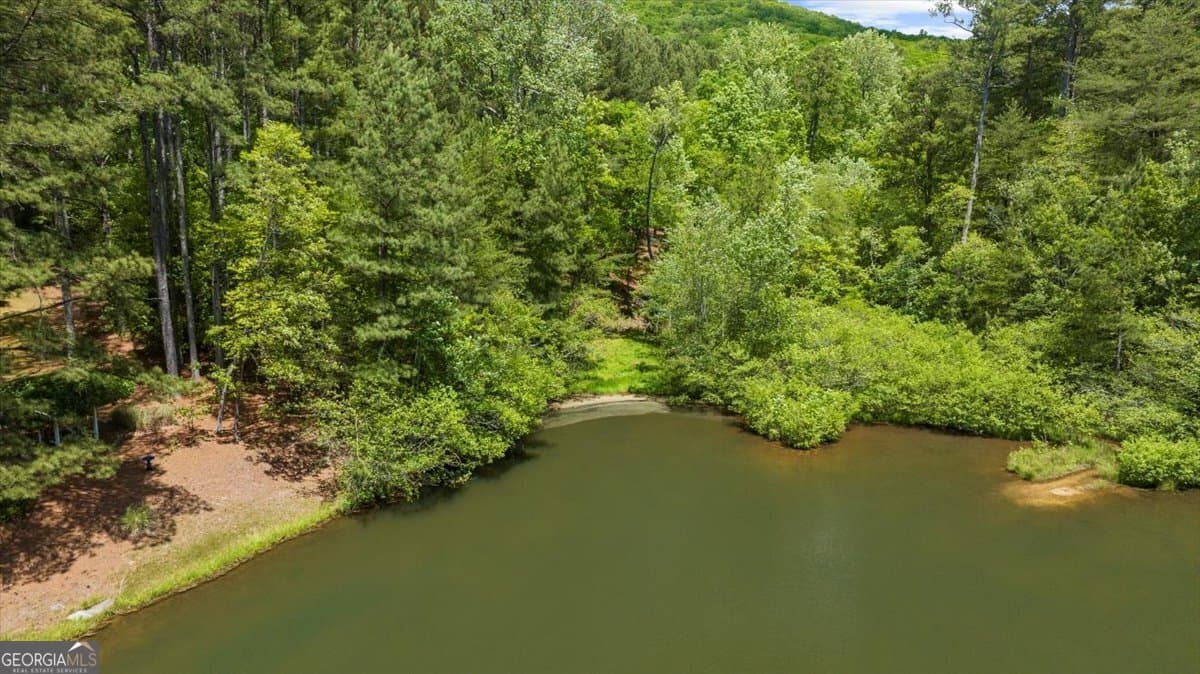 residential lot for sale at 0 Golden Delicious Road, Clarkesville, GA 30523 — photo 6