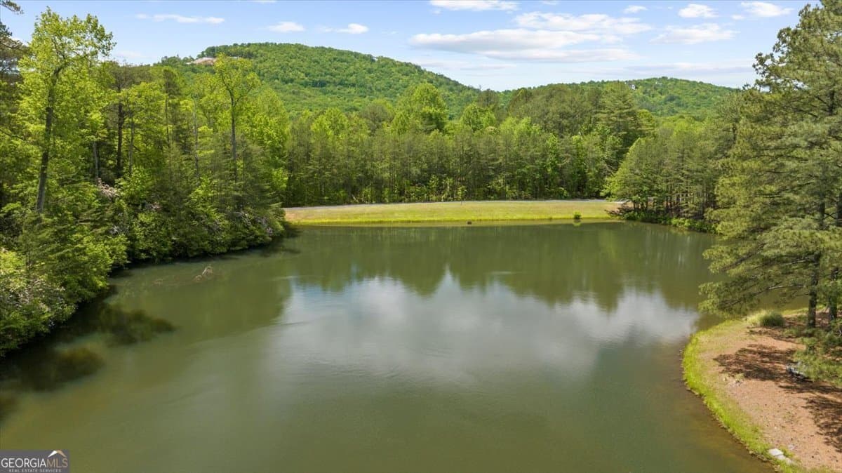 residential lot for sale at 0 Golden Delicious Road, Clarkesville, GA 30523 — photo 7