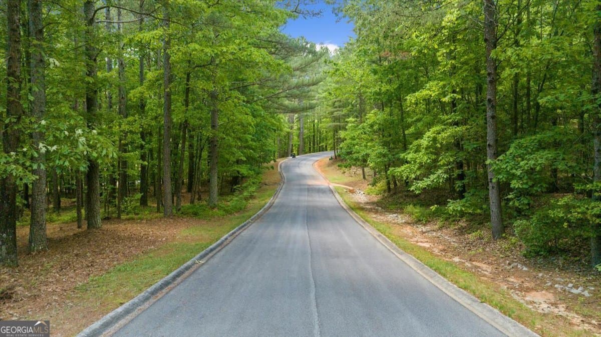 residential lot for sale at 0 Golden Delicious Road, Clarkesville, GA 30523 — photo 3