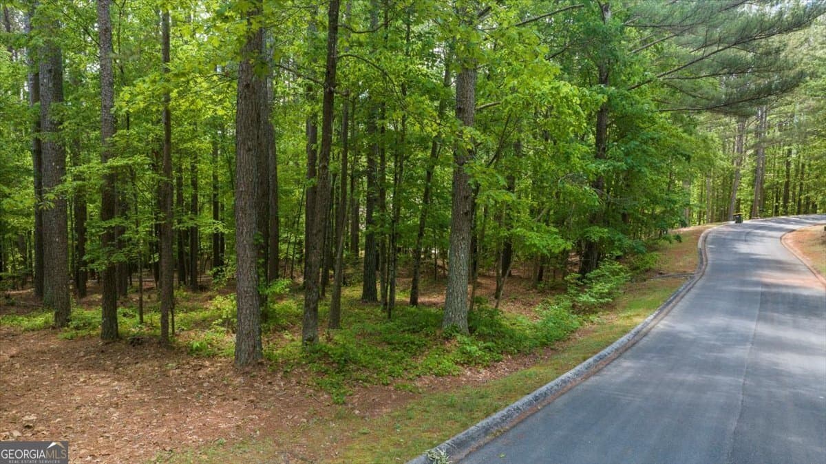 residential lot for sale at 0 Golden Delicious Road, Clarkesville, GA 30523 — photo 1 of 15