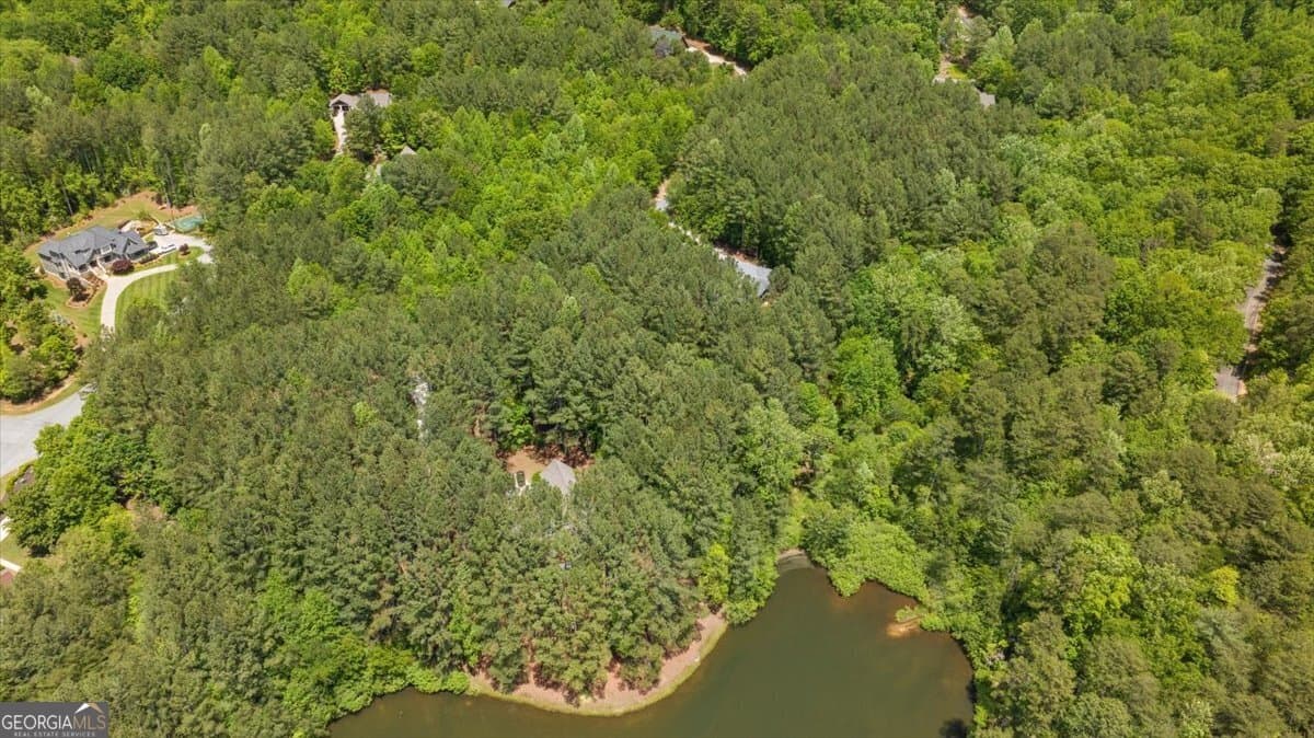 residential lot for sale at 0 Golden Delicious Road, Clarkesville, GA 30523 — photo 9