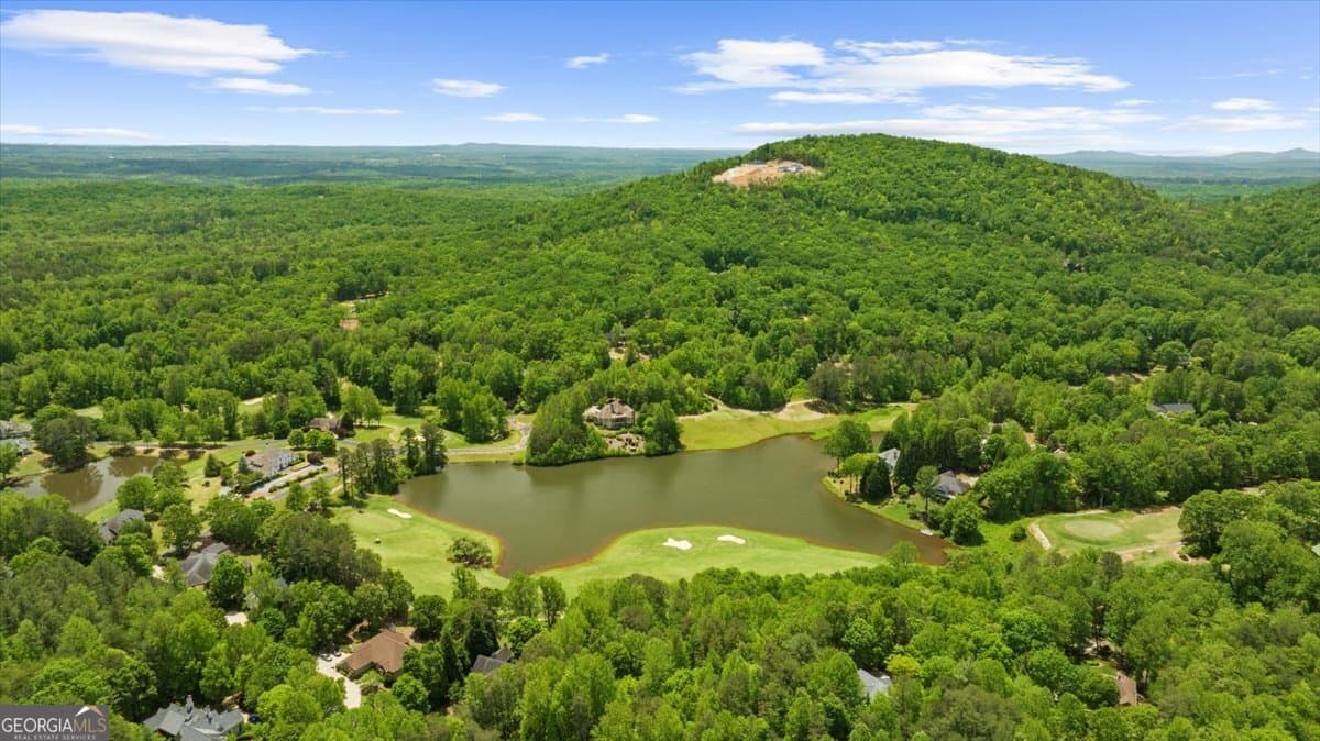 residential lot for sale at 0 Golden Delicious Road, Clarkesville, GA 30523 — photo 10