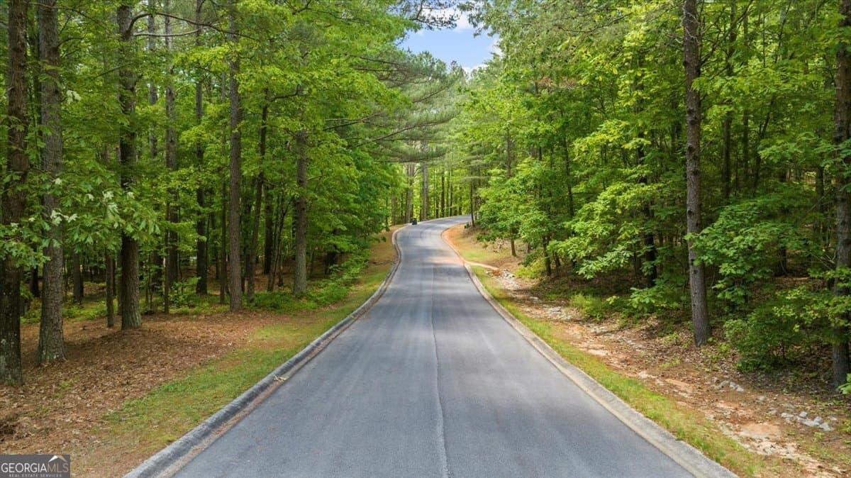 residential lot for sale at 0 Golden Delicious Road, Clarkesville, GA 30523 — photo 4