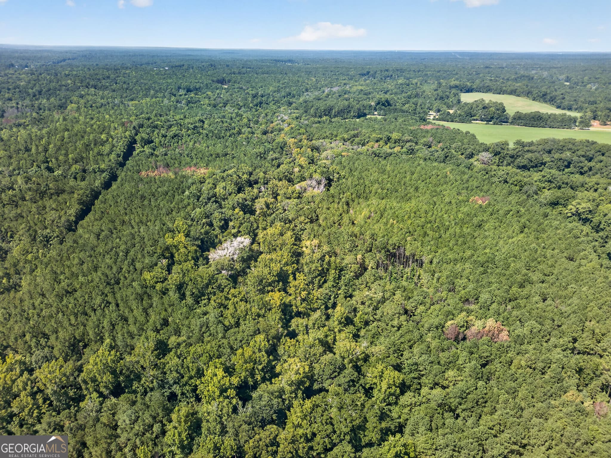 residential lot for sale at 484 Stonegables Court, Gray, GA 31032 — photo 8