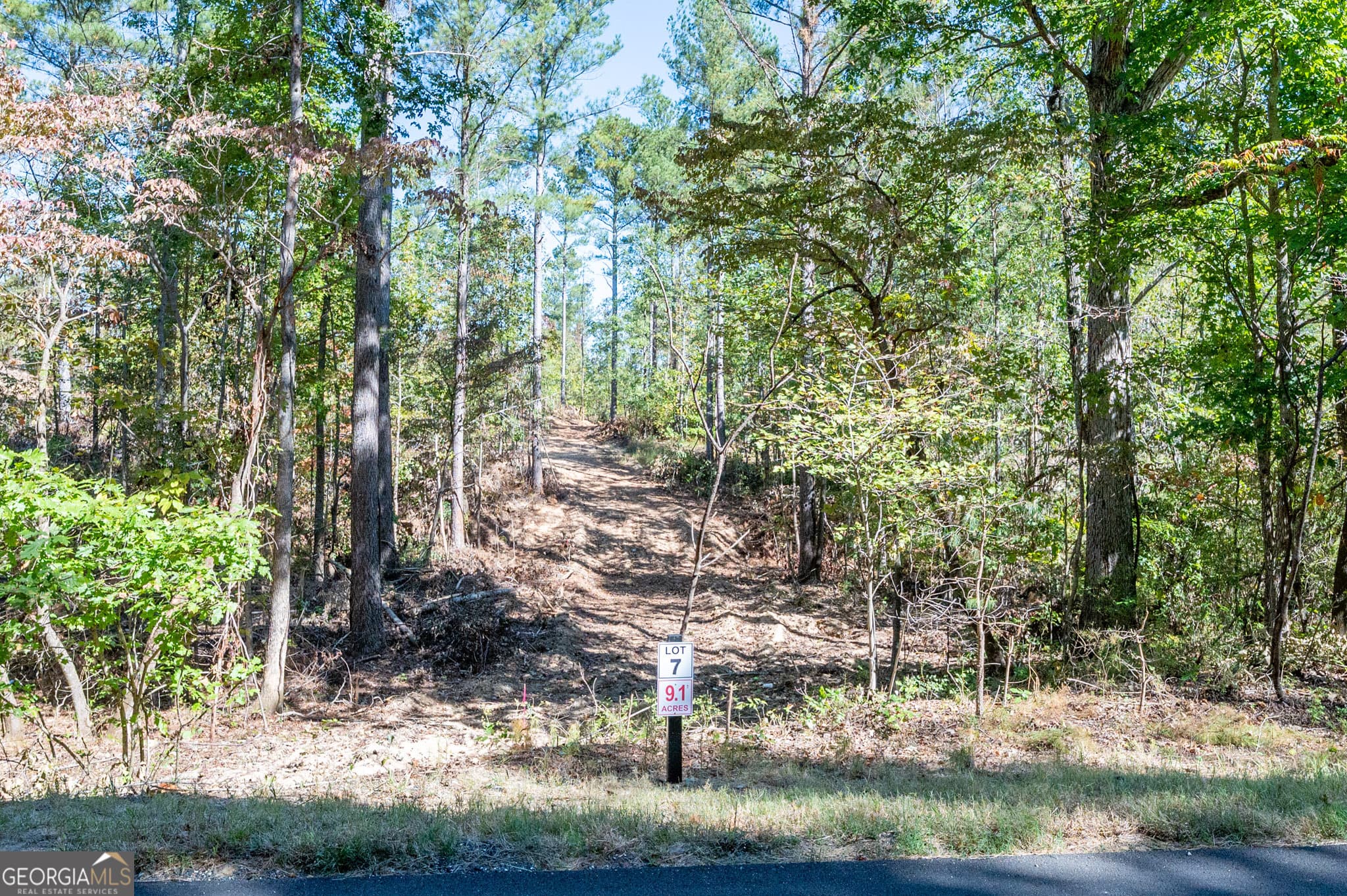 estate lot for sale at 3809 HWY 140, Rydal, GA 30171 — photo 2