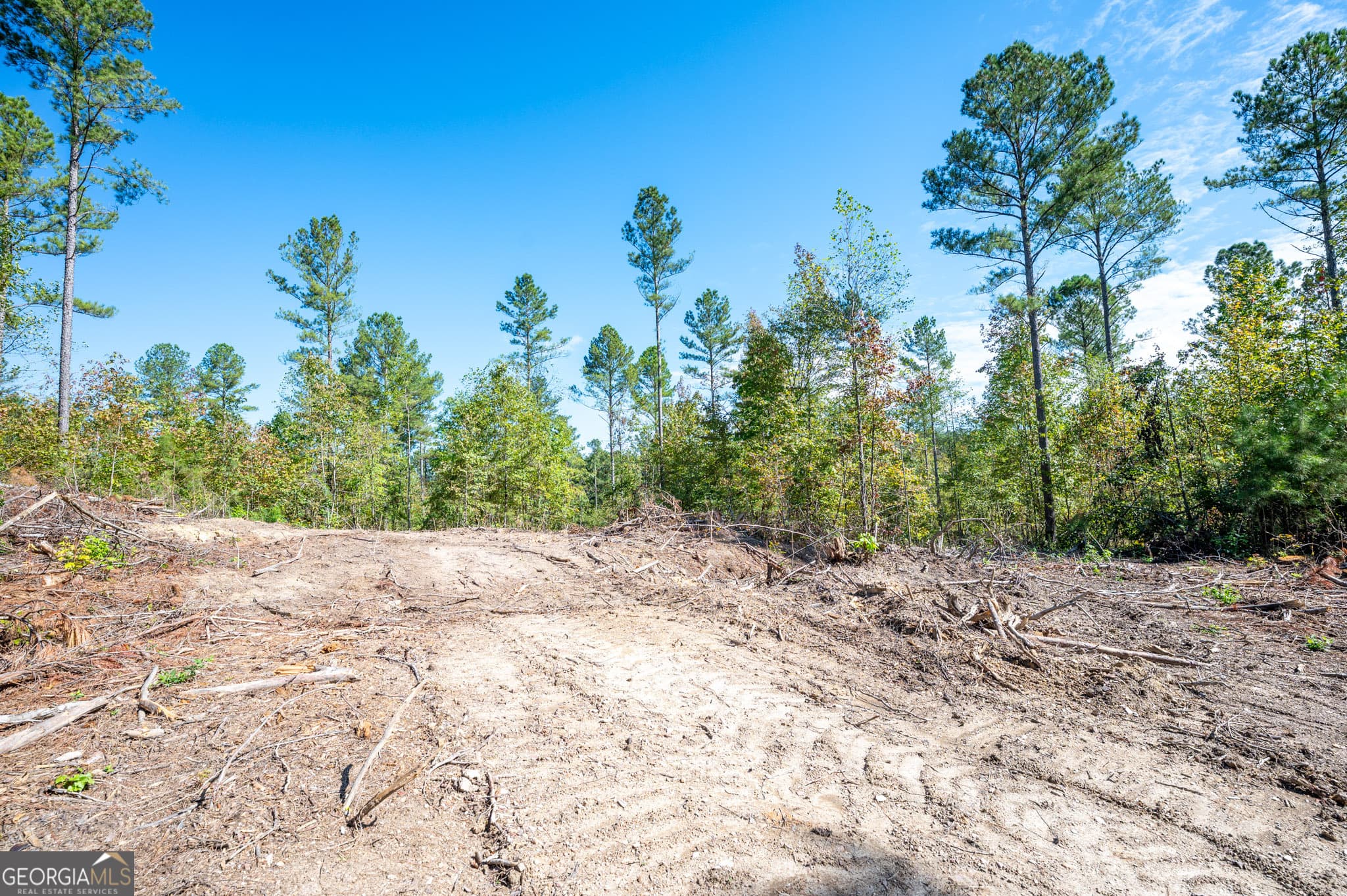 estate lot for sale at 3809 HWY 140, Rydal, GA 30171 — photo 6