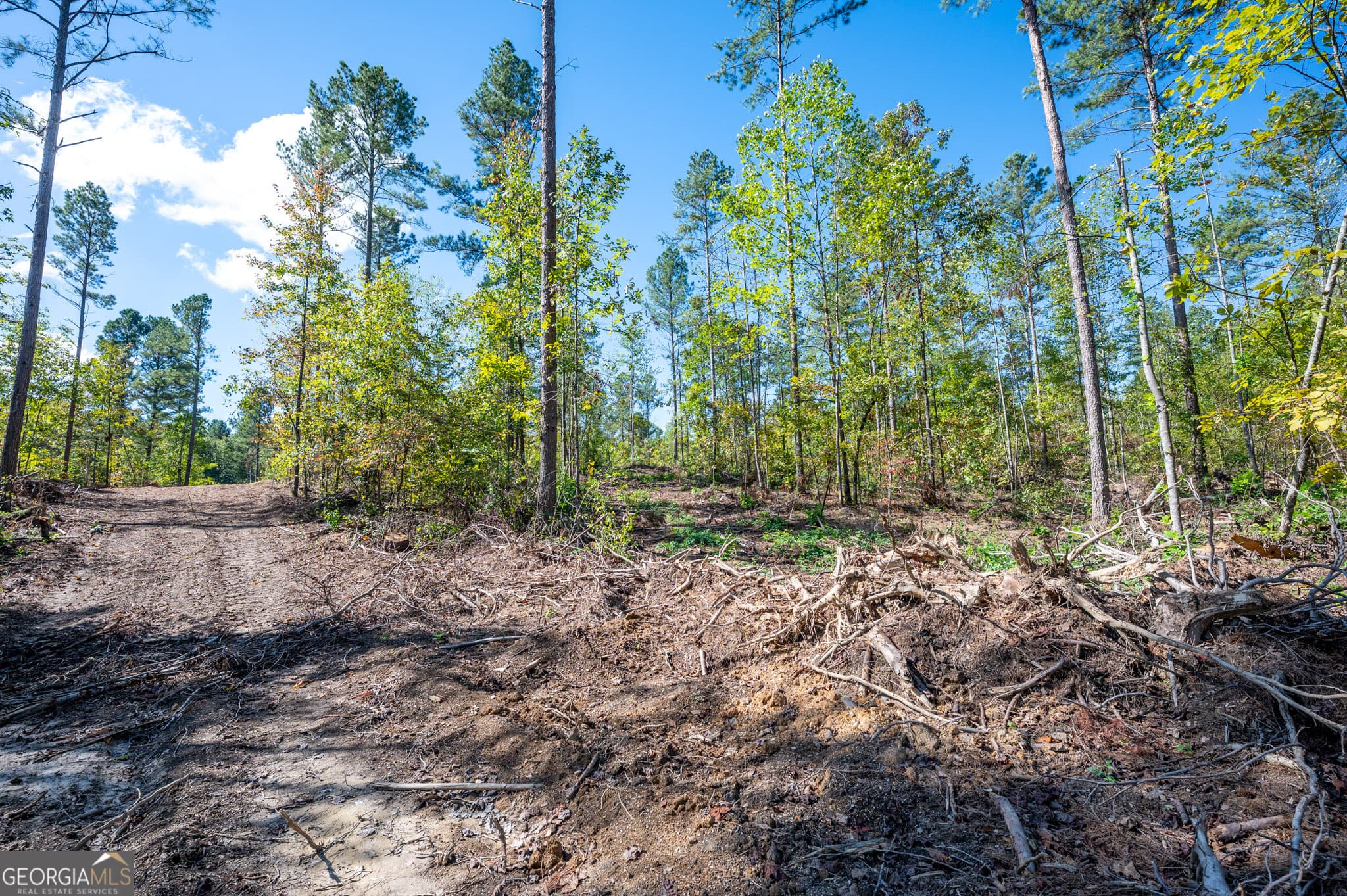 estate lot for sale at 3809 HWY 140, Rydal, GA 30171 — photo 7