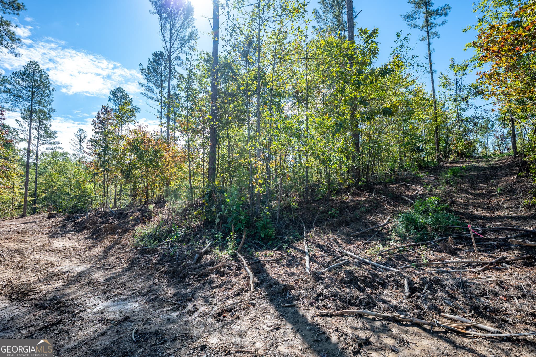 estate lot for sale at 3809 HWY 140, Rydal, GA 30171 — photo 3