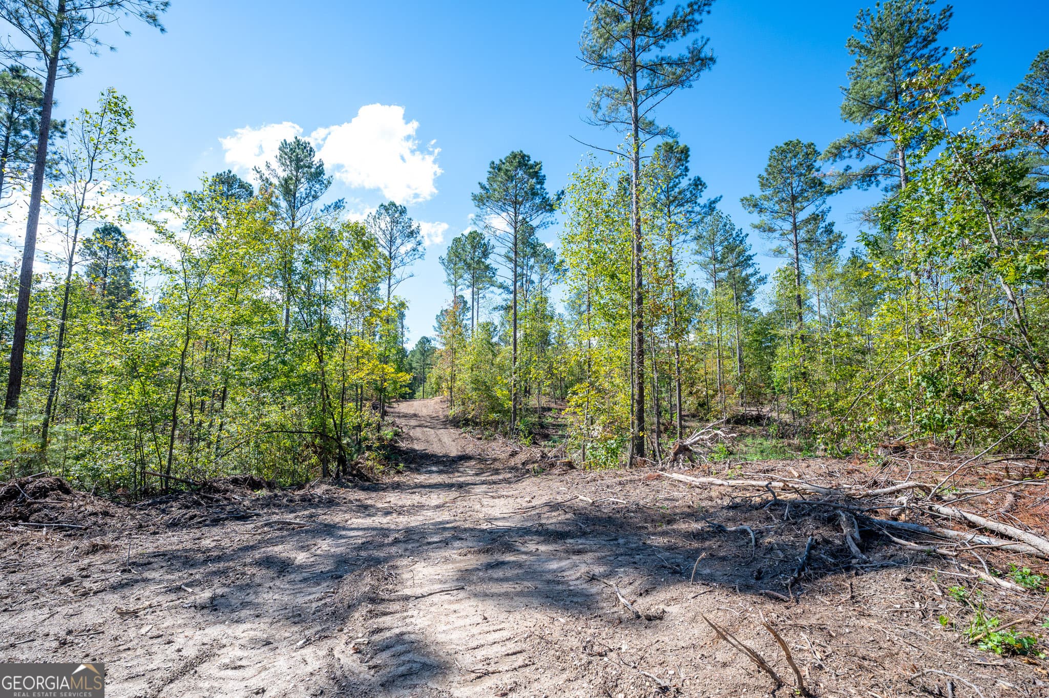 estate lot for sale at 3809 HWY 140, Rydal, GA 30171 — photo 5