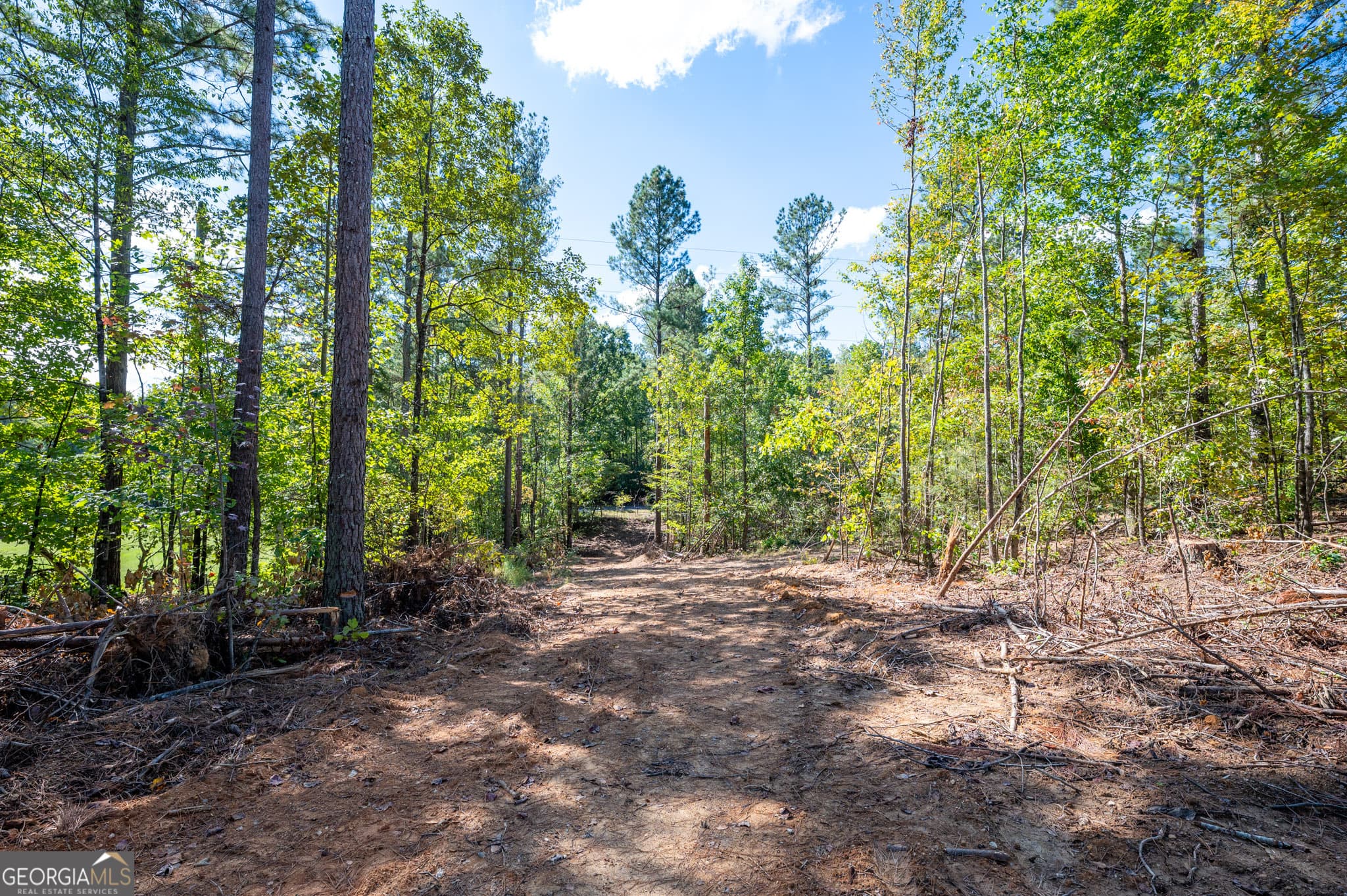 estate lot for sale at 3809 HWY 140, Rydal, GA 30171 — photo 9