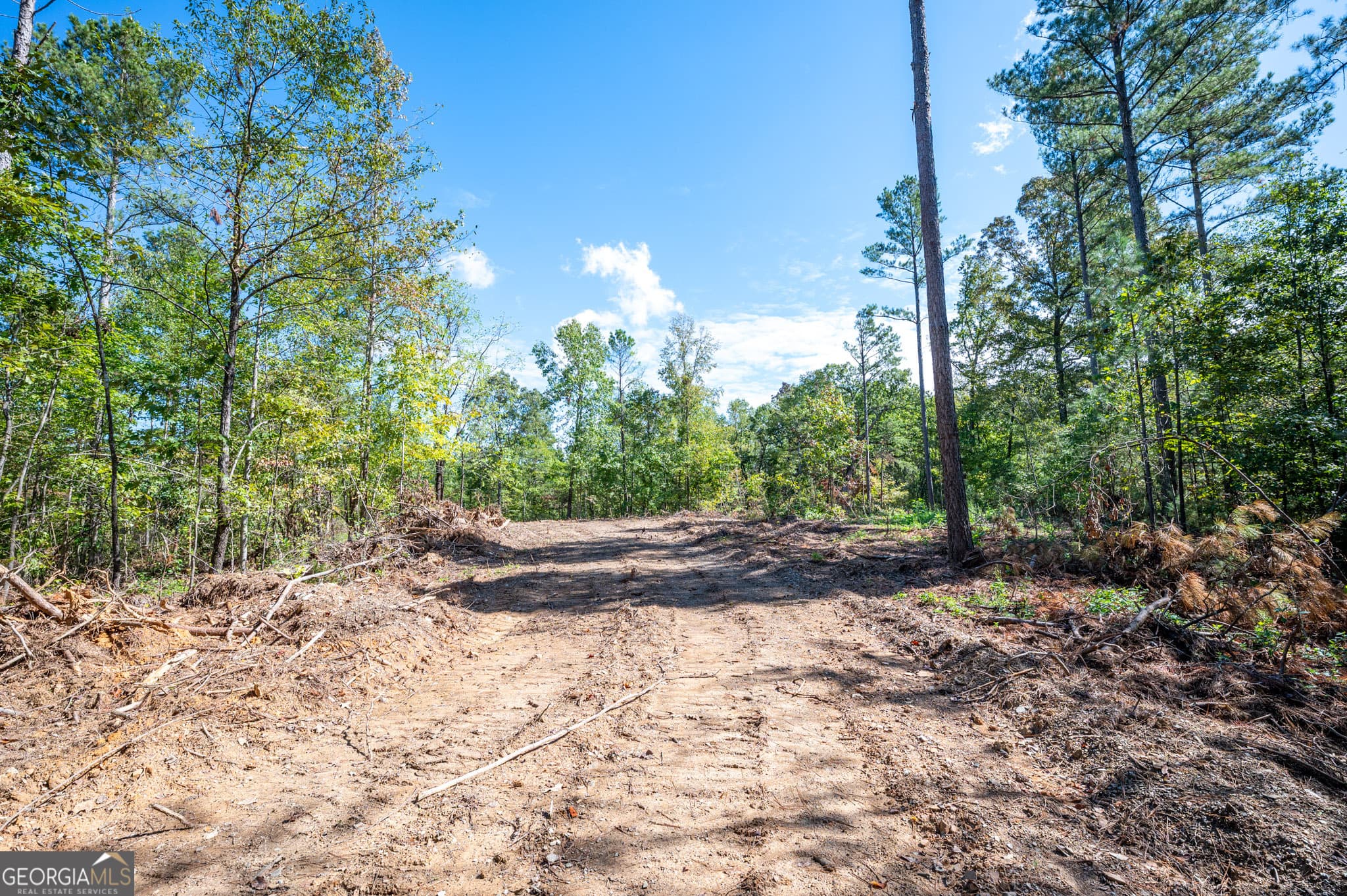 estate lot for sale at 3809 HWY 140, Rydal, GA 30171 — photo 10