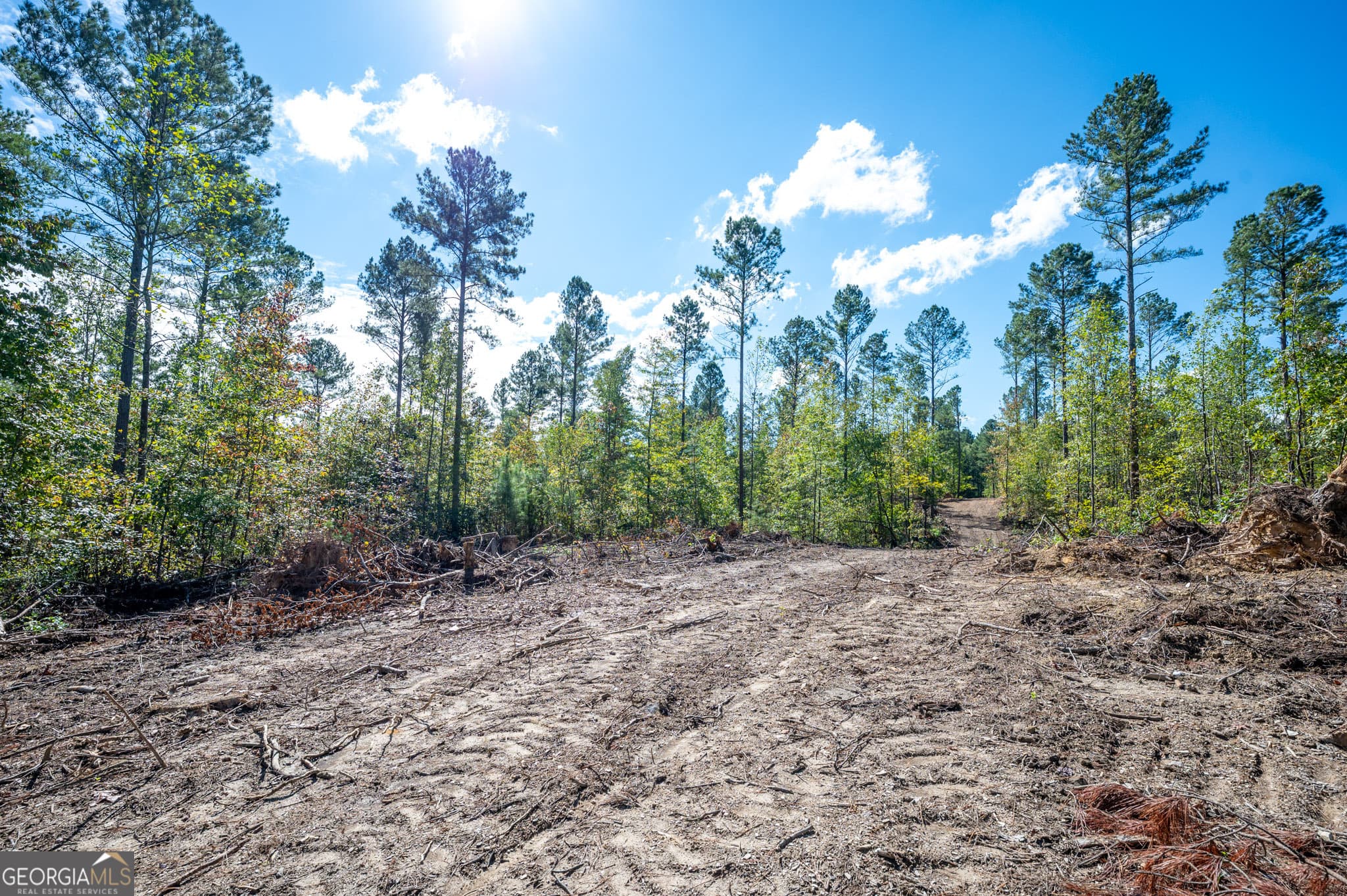 estate lot for sale at 3809 HWY 140, Rydal, GA 30171 — photo 4