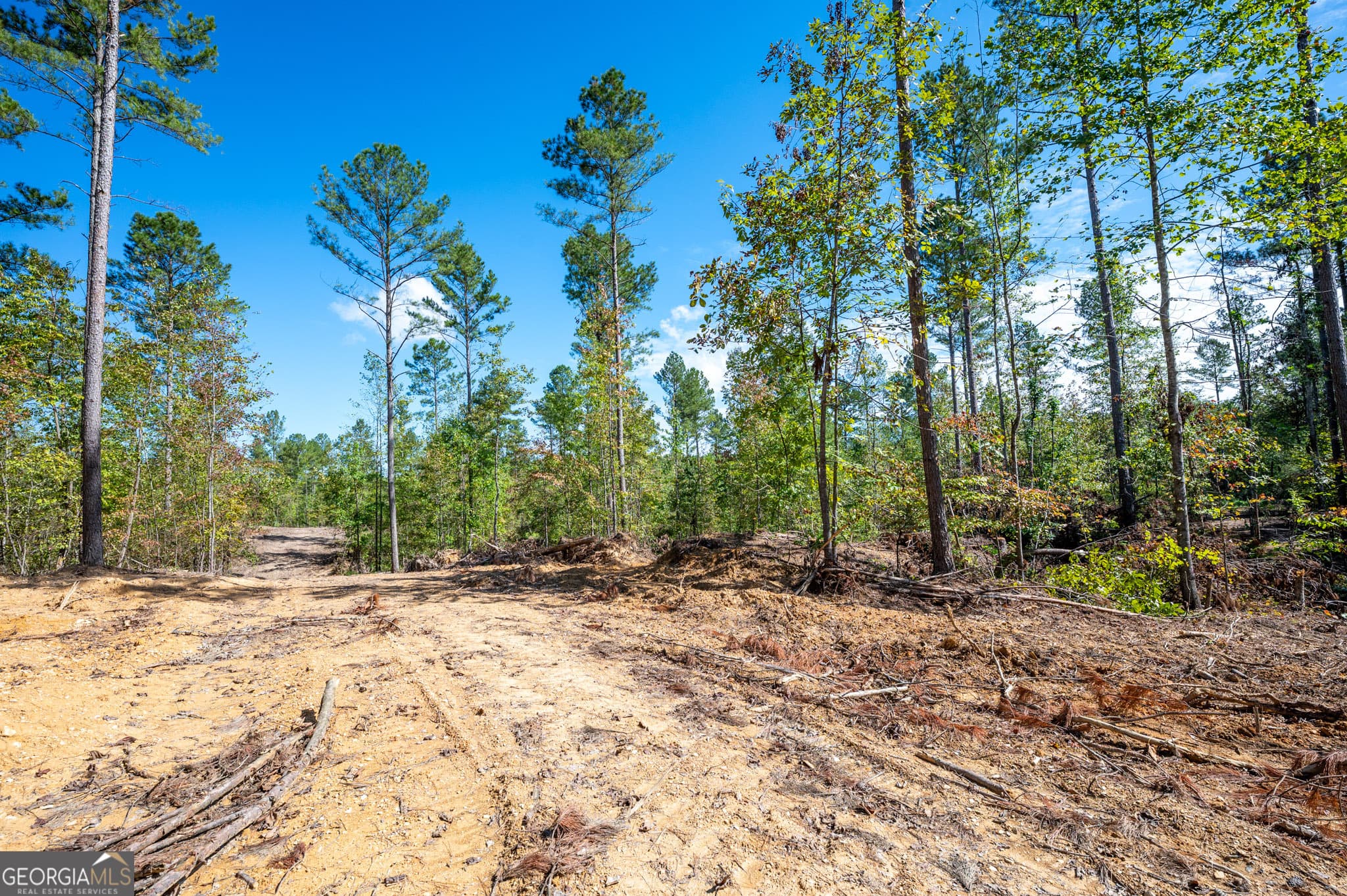 estate lot for sale at 3809 HWY 140, Rydal, GA 30171 — photo 8