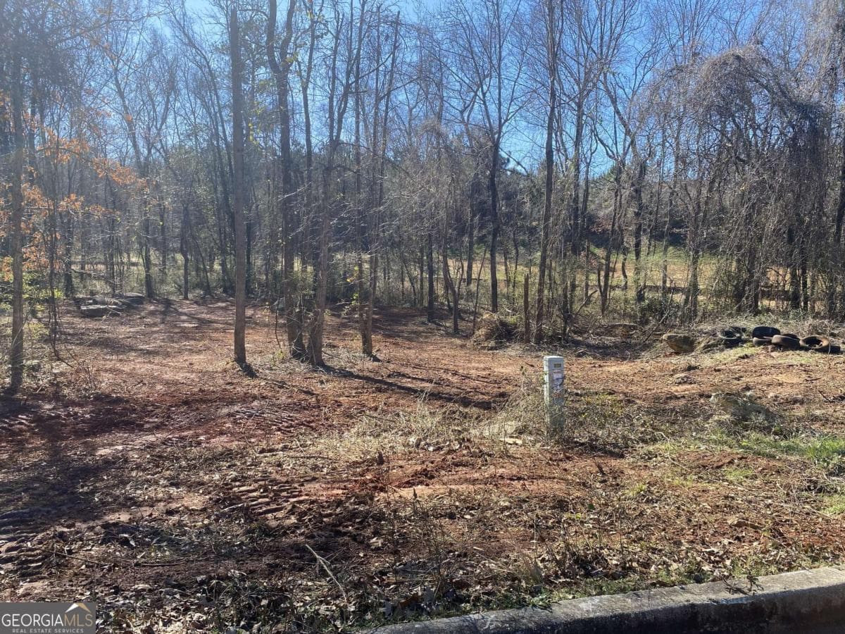 residential lot for sale at 0 Hannah Court LOT 13, Barnesville, GA 30204 — photo 2