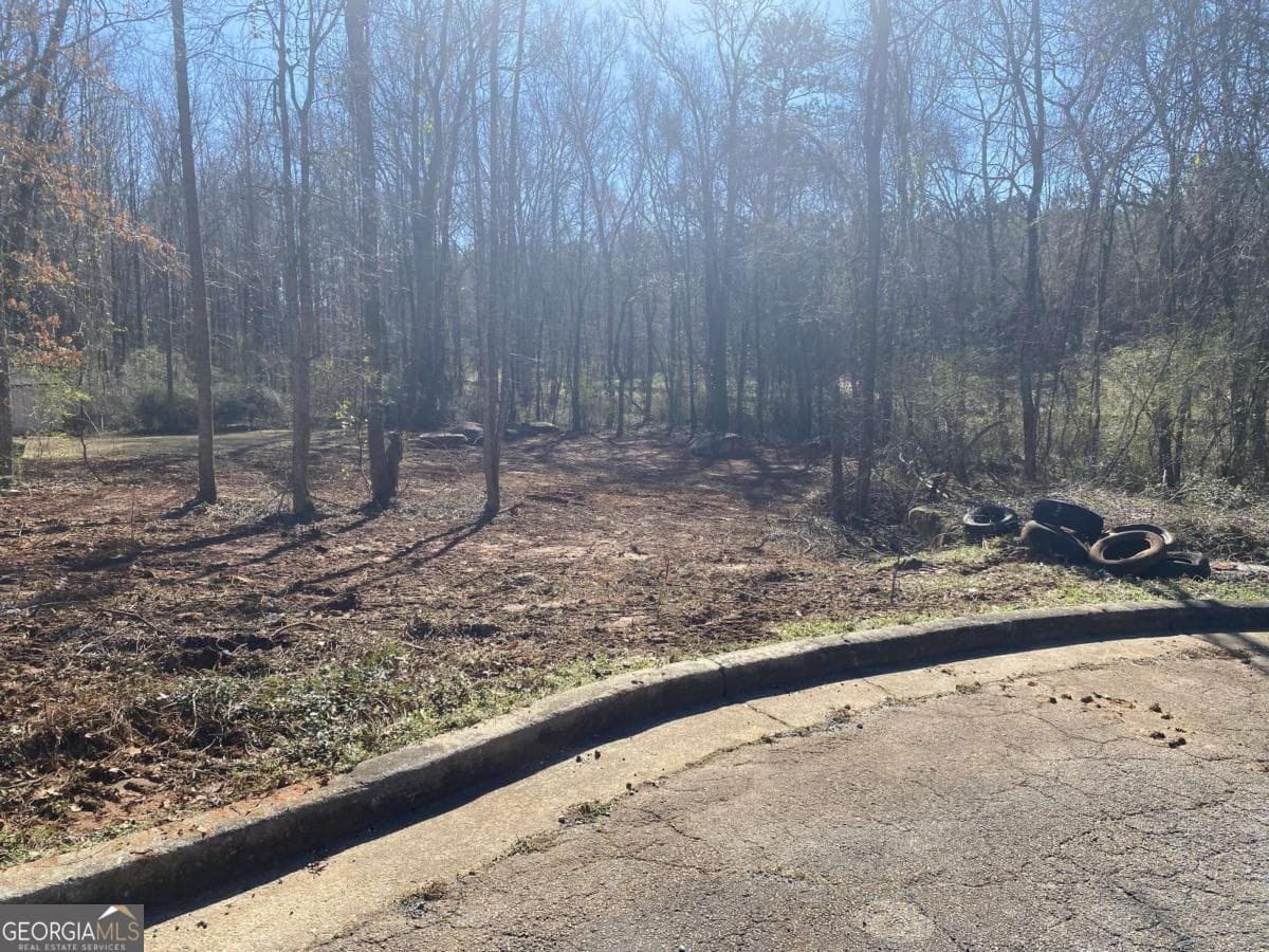 residential lot for sale at 0 Hannah Court LOT 13, Barnesville, GA 30204 — photo 1 of 3