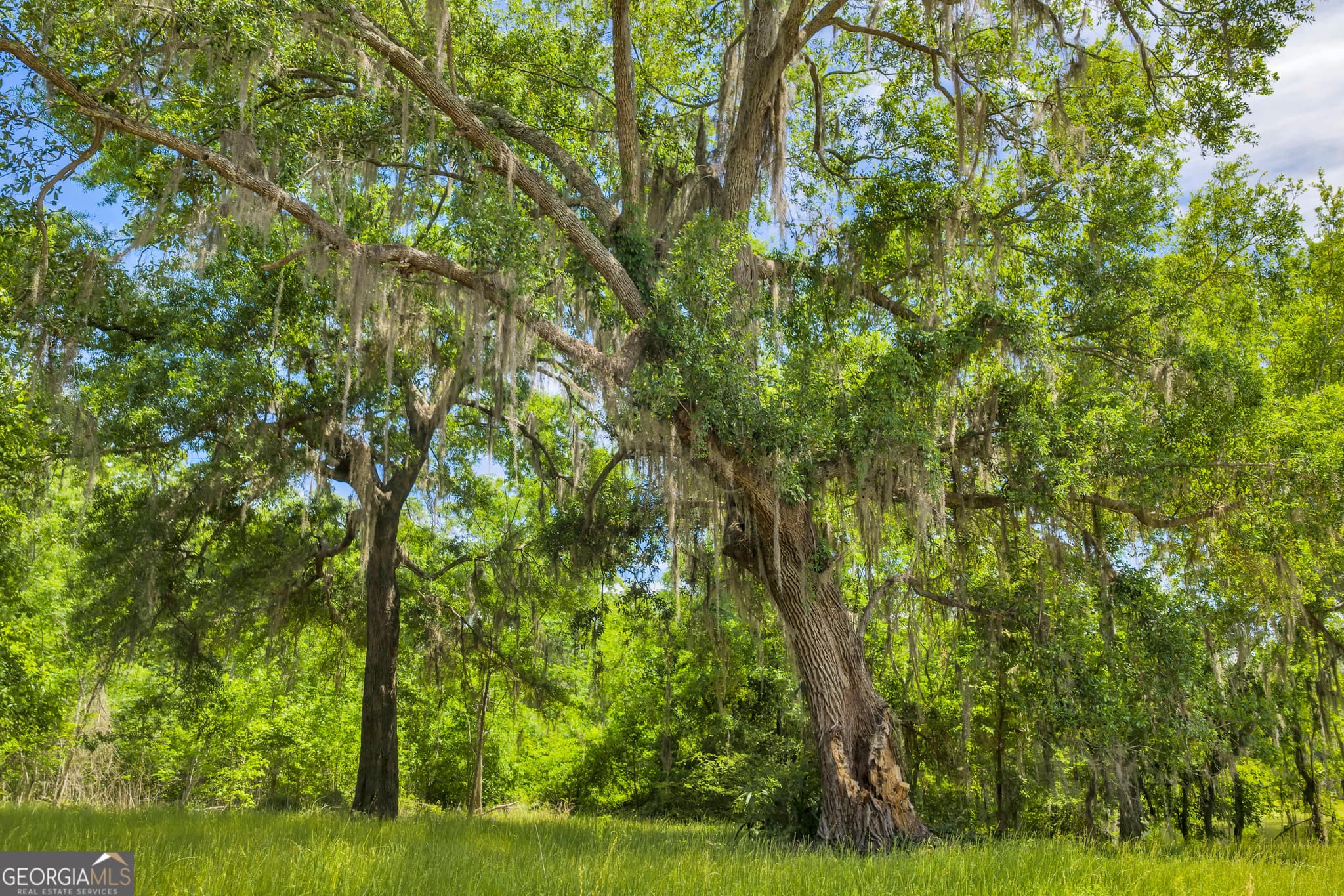 residential lot for sale at 3807 Val Tech Road, Valdosta, GA 31602 — photo 4