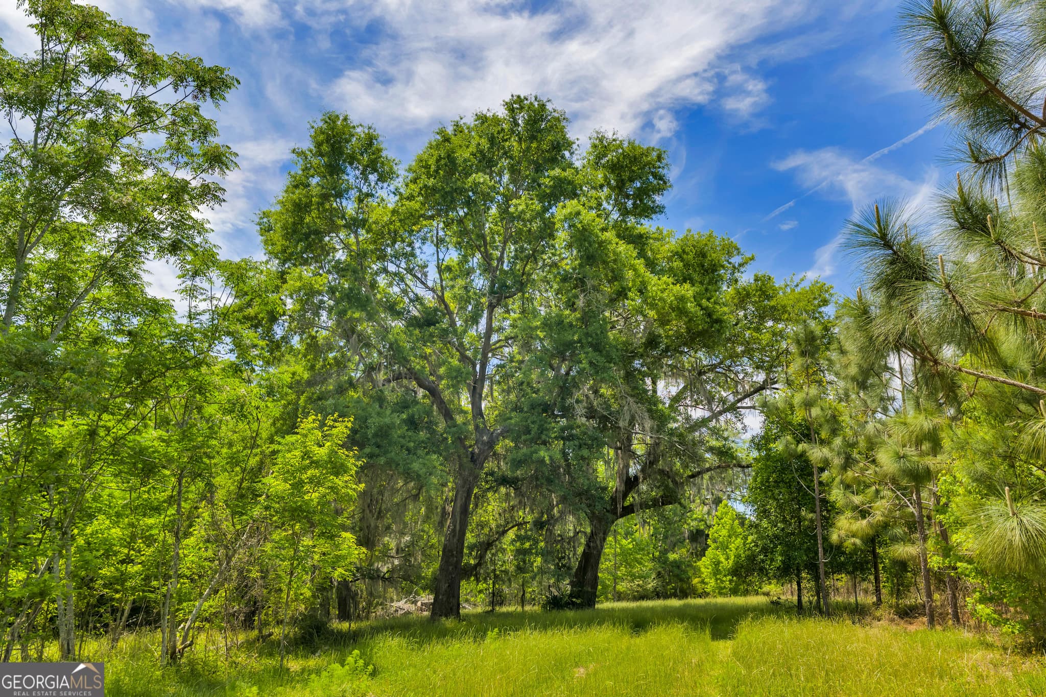 residential lot for sale at 3807 Val Tech Road, Valdosta, GA 31602 — photo 8