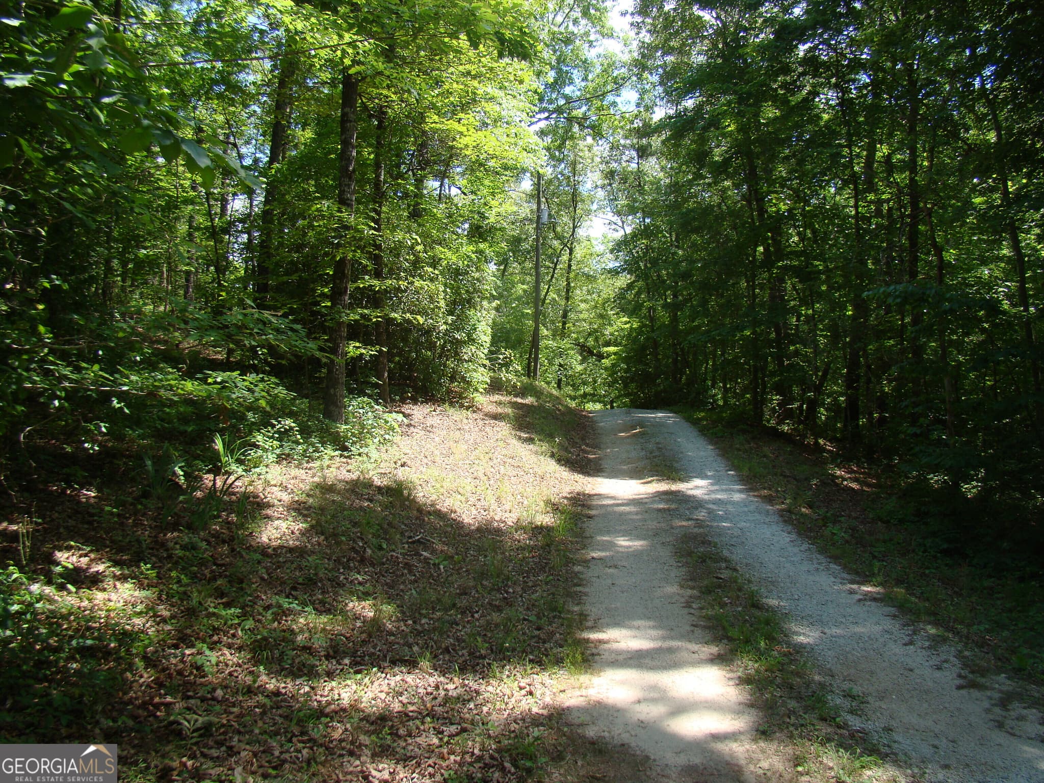 1 bedroom, 1 bathroom, 1,215 sq ft single family residence for sale at 38 Morrisons Point Drive, Wedowee, AL 36278 — photo 6