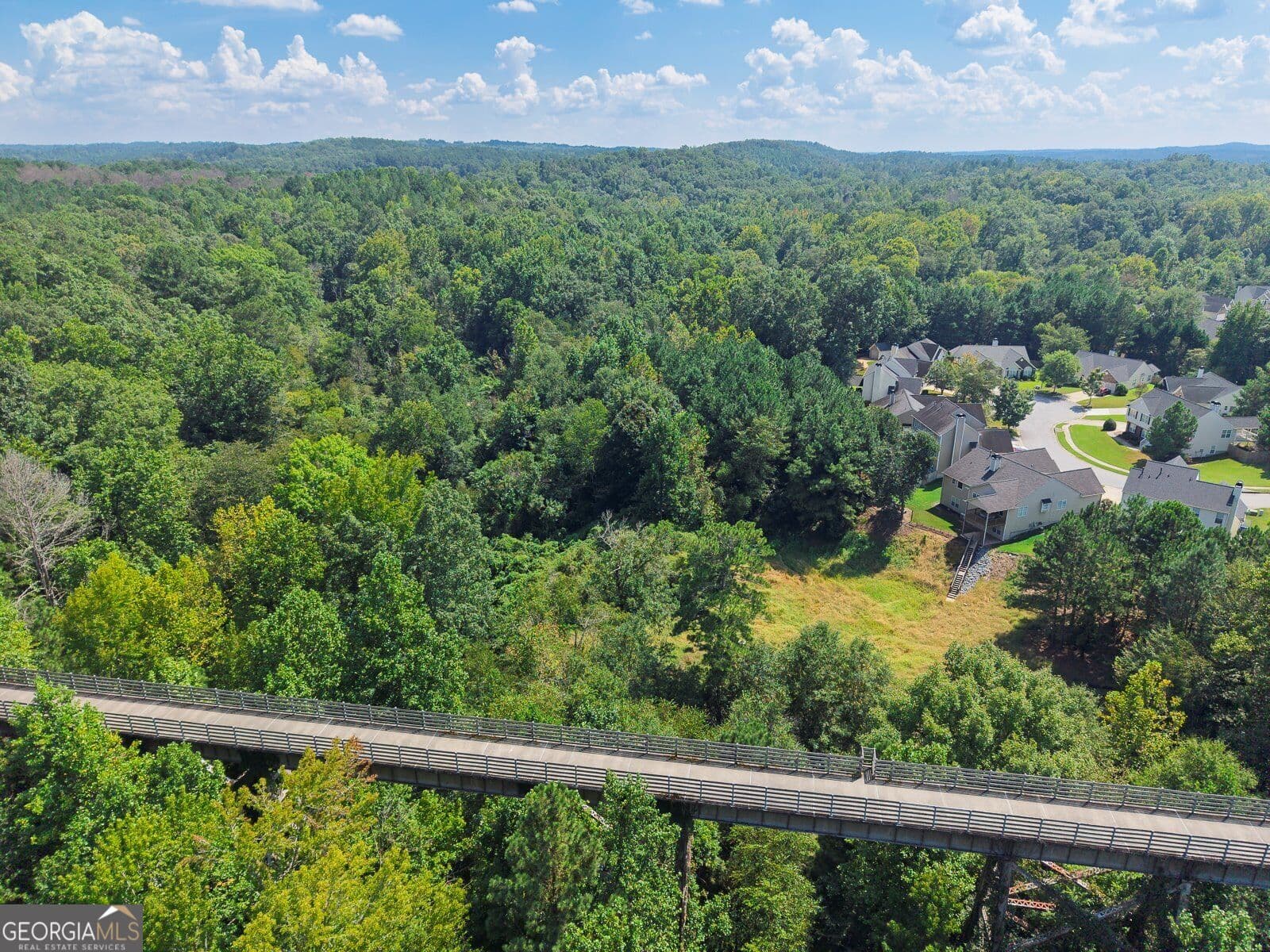 unimproved land for sale at 0 Lane Road, Dallas, GA 30157 — photo 9