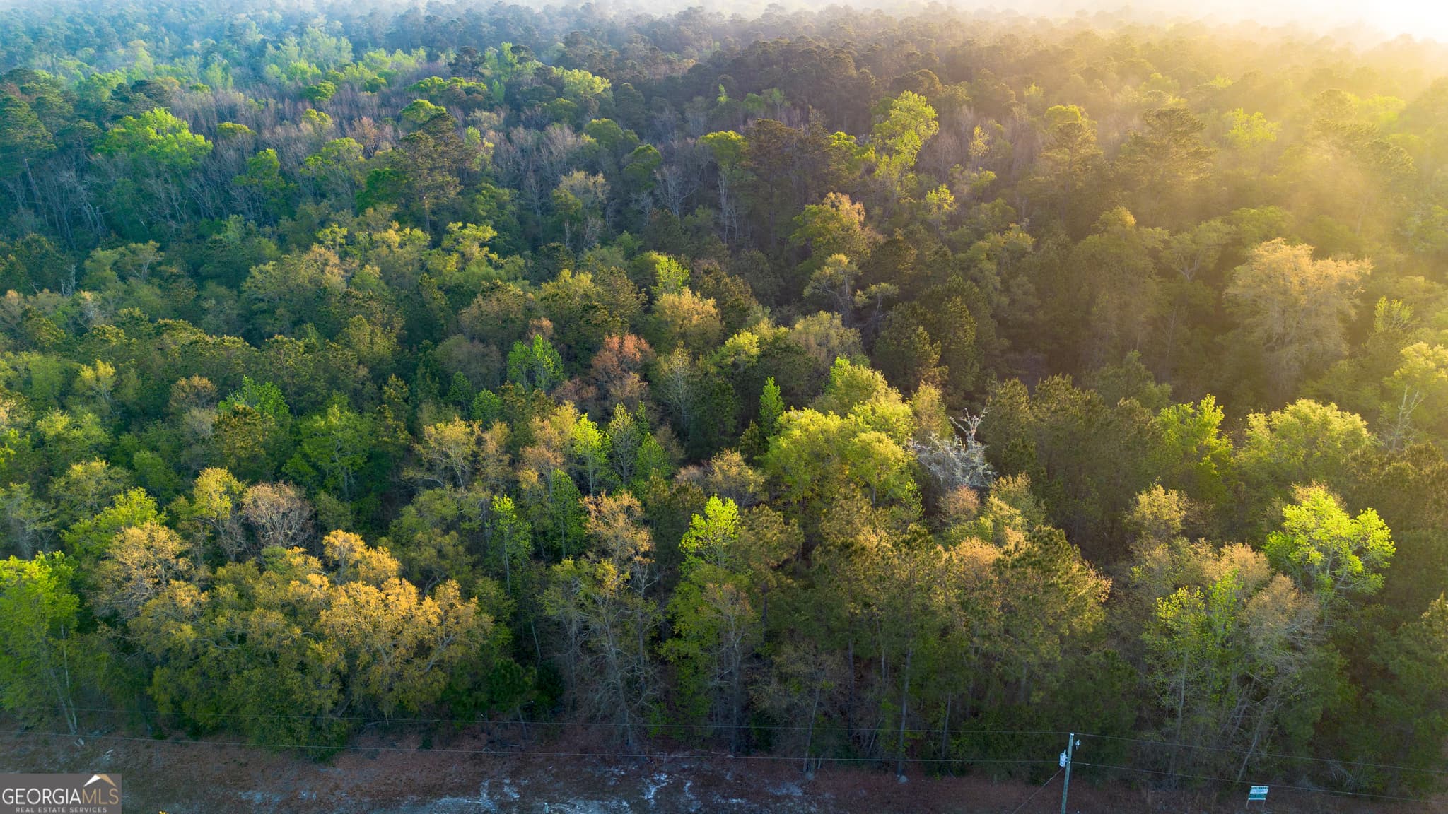 unimproved land for sale at 0 Little Mccall Road, Rincon, GA 31326 — photo 2